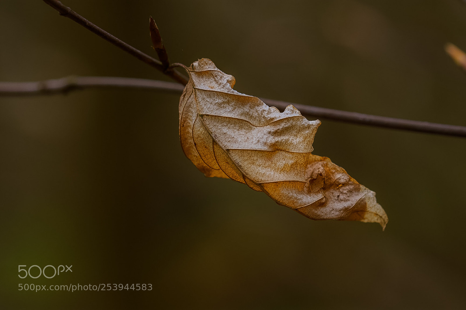 Nikon D7200 sample photo. Hanging on photography