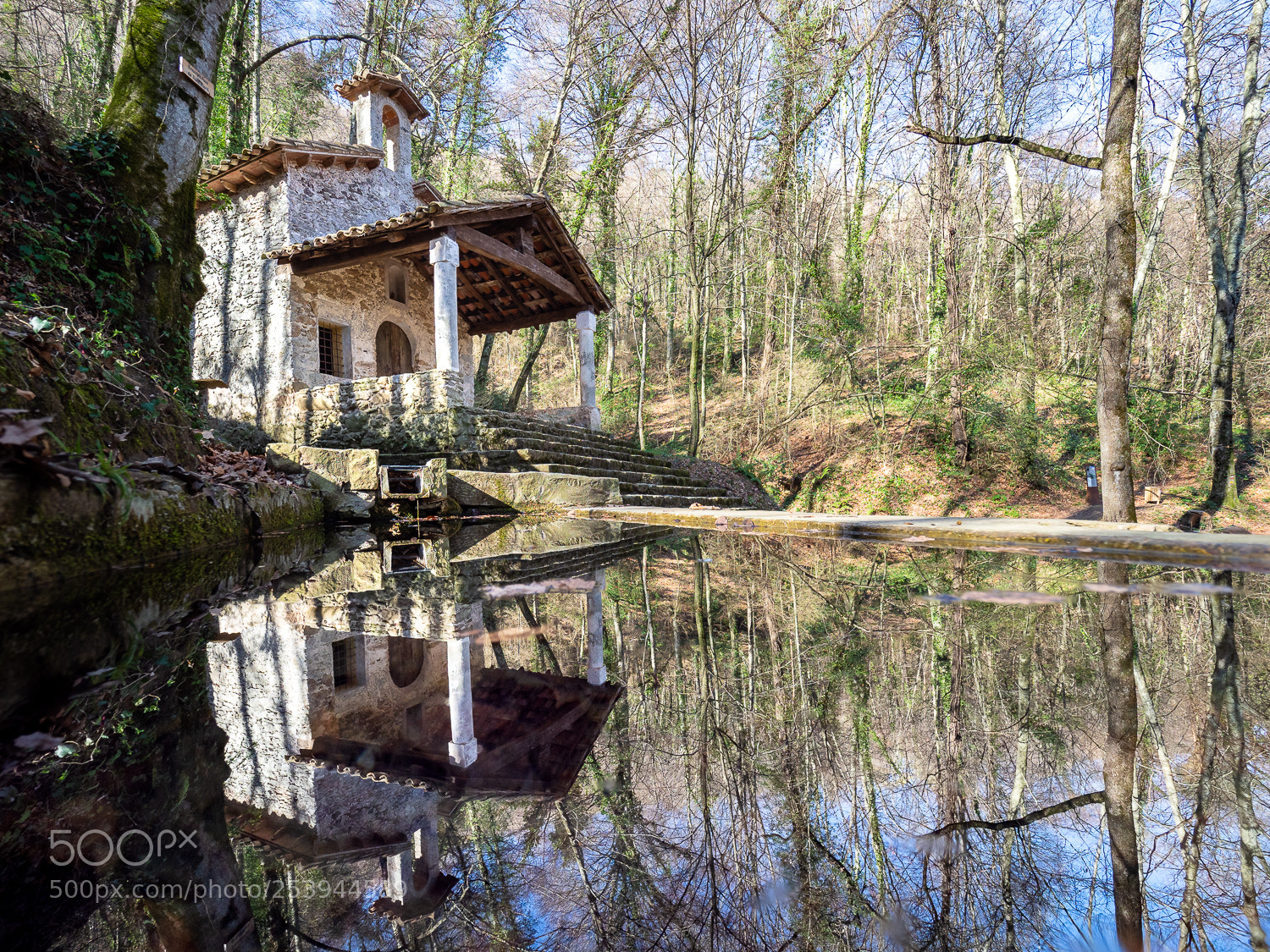 Olympus OM-D E-M1 Mark II sample photo. Reflection hermitage photography