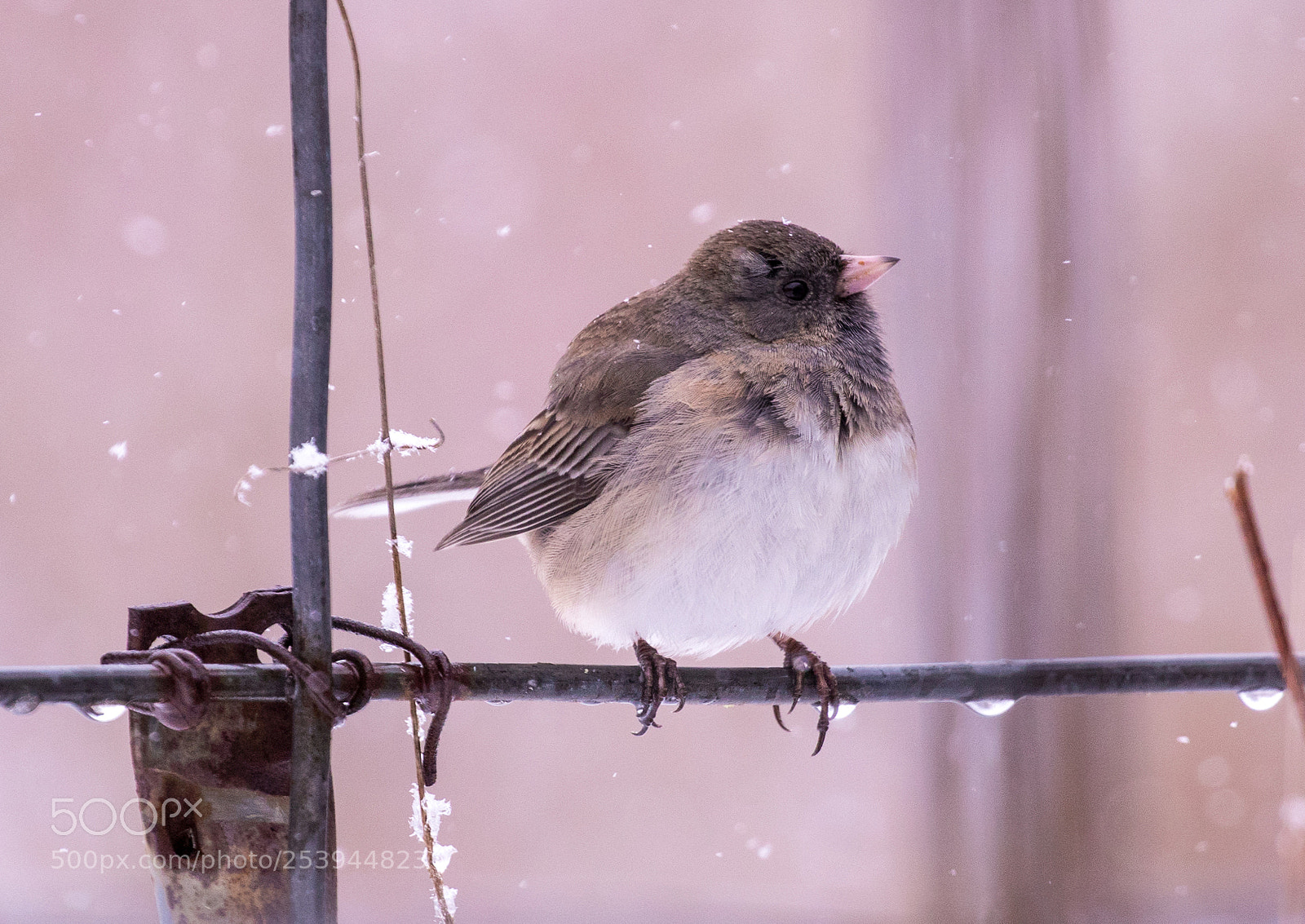 Canon EOS 5D Mark IV sample photo. Spring 2018 - wisconsin 2 photography