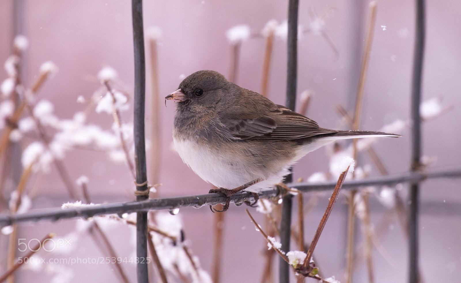 Canon EOS 5D Mark IV sample photo. Spring 2018 - wisconsin 1 photography