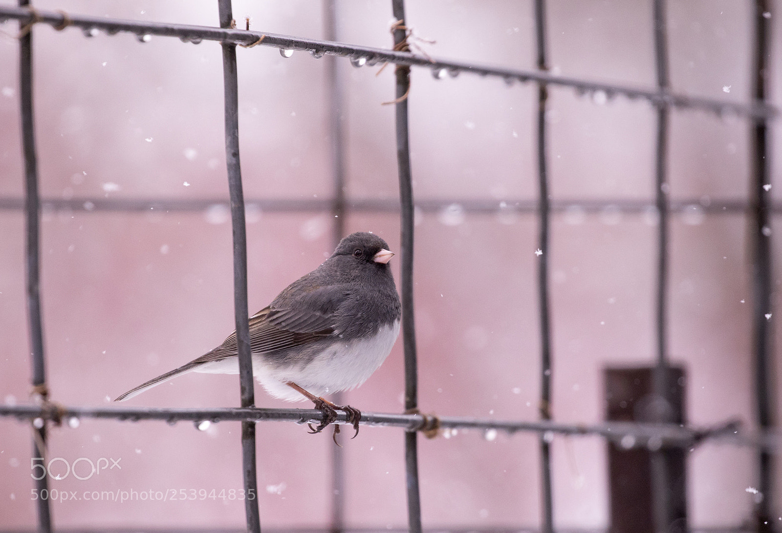 Canon EOS 5D Mark IV sample photo. Spring 2018 - wisconsin 3 photography