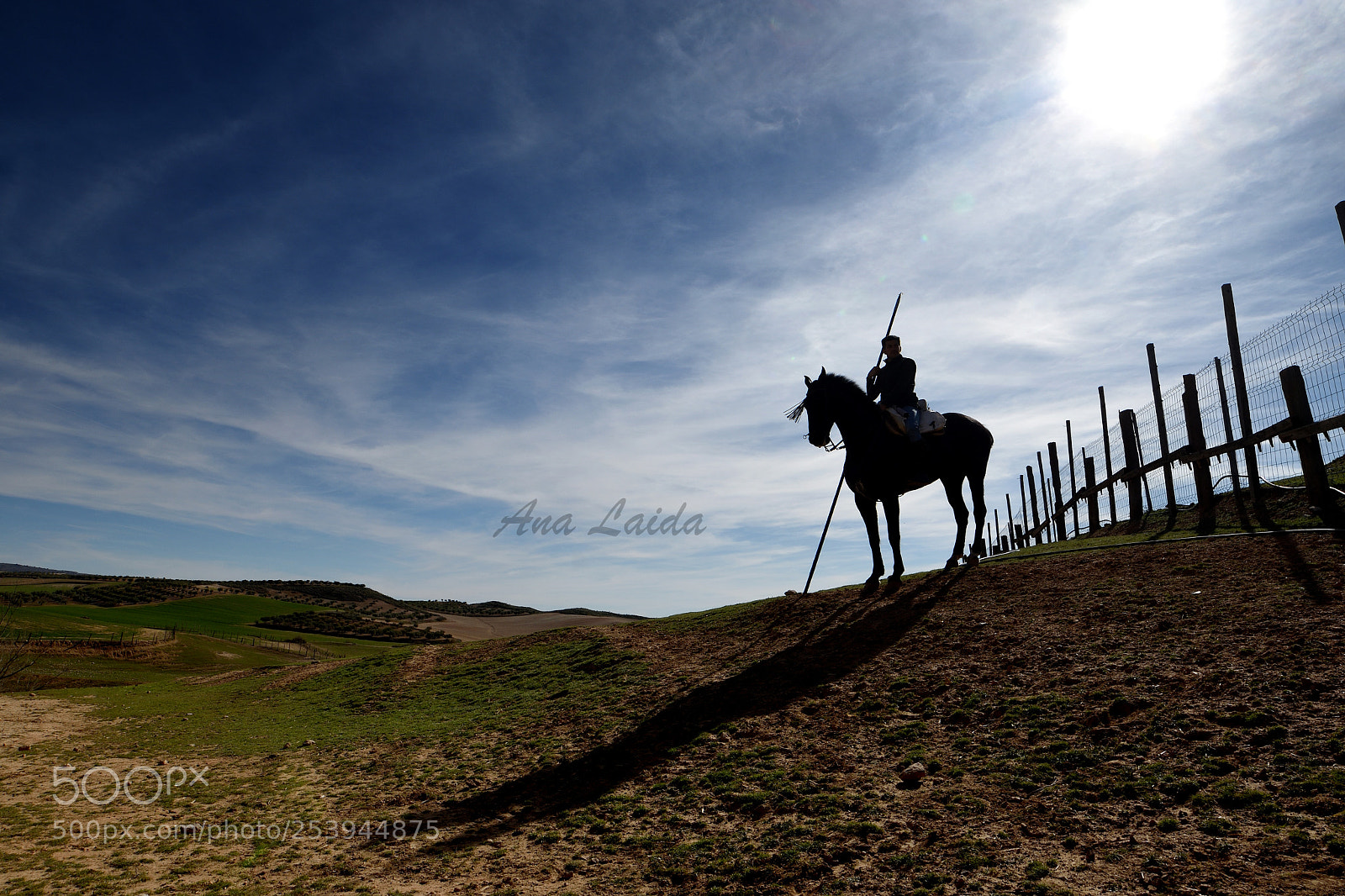 Nikon D7200 sample photo. Contraluz photography