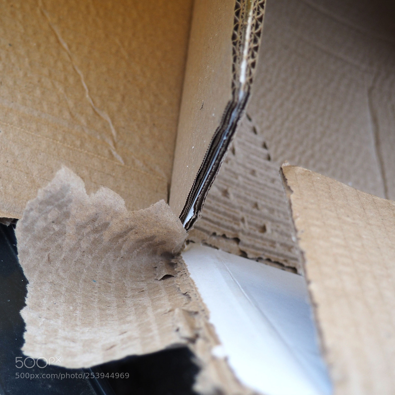 Olympus OM-D E-M10 sample photo. Rigged geometry photography
