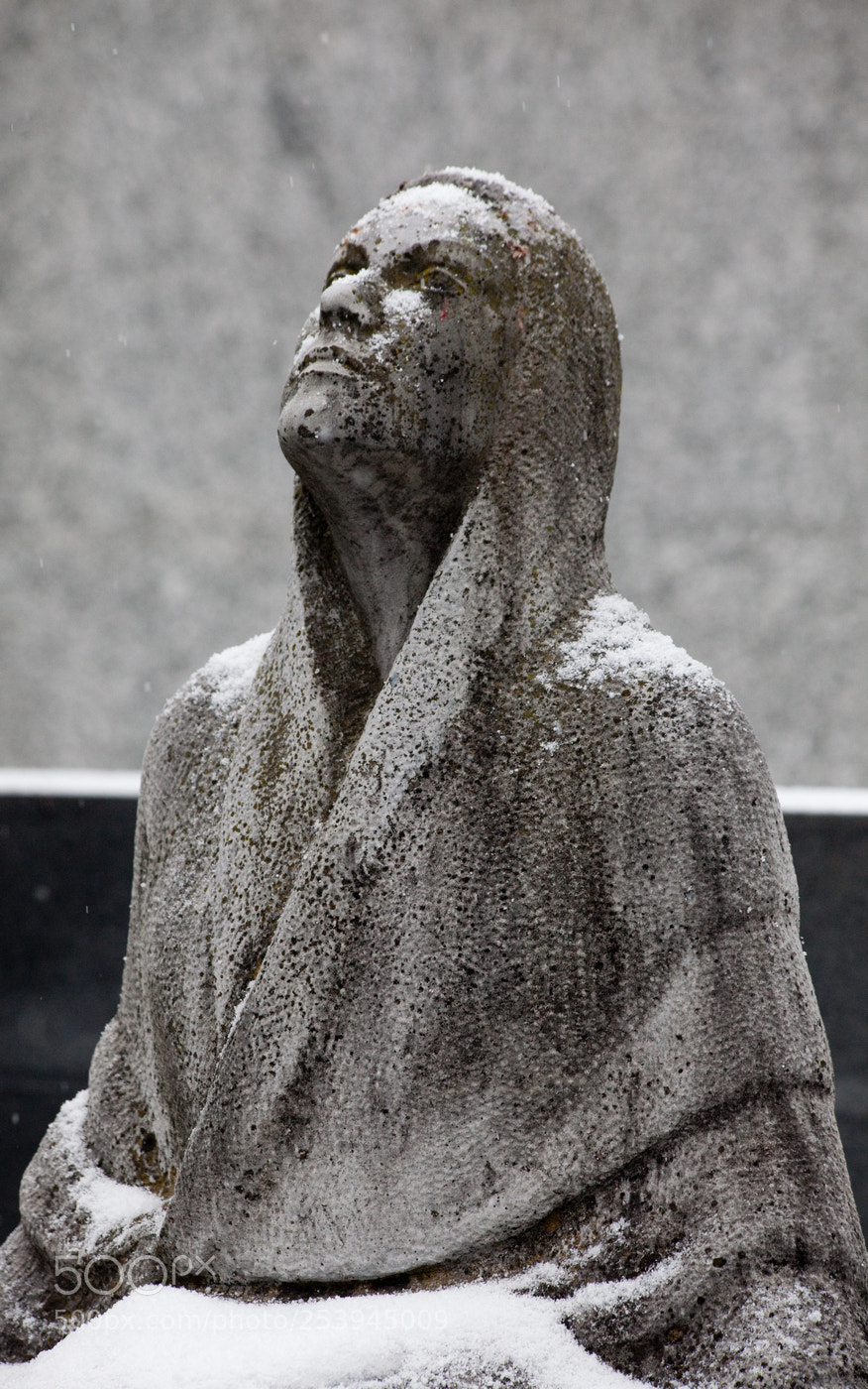 Canon EOS 5D Mark II sample photo. Waiting for snow photography