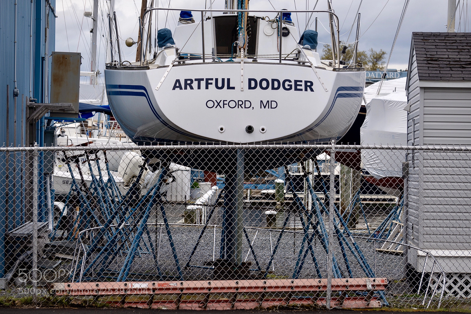 Sony a7R III sample photo. Artful dodger photography