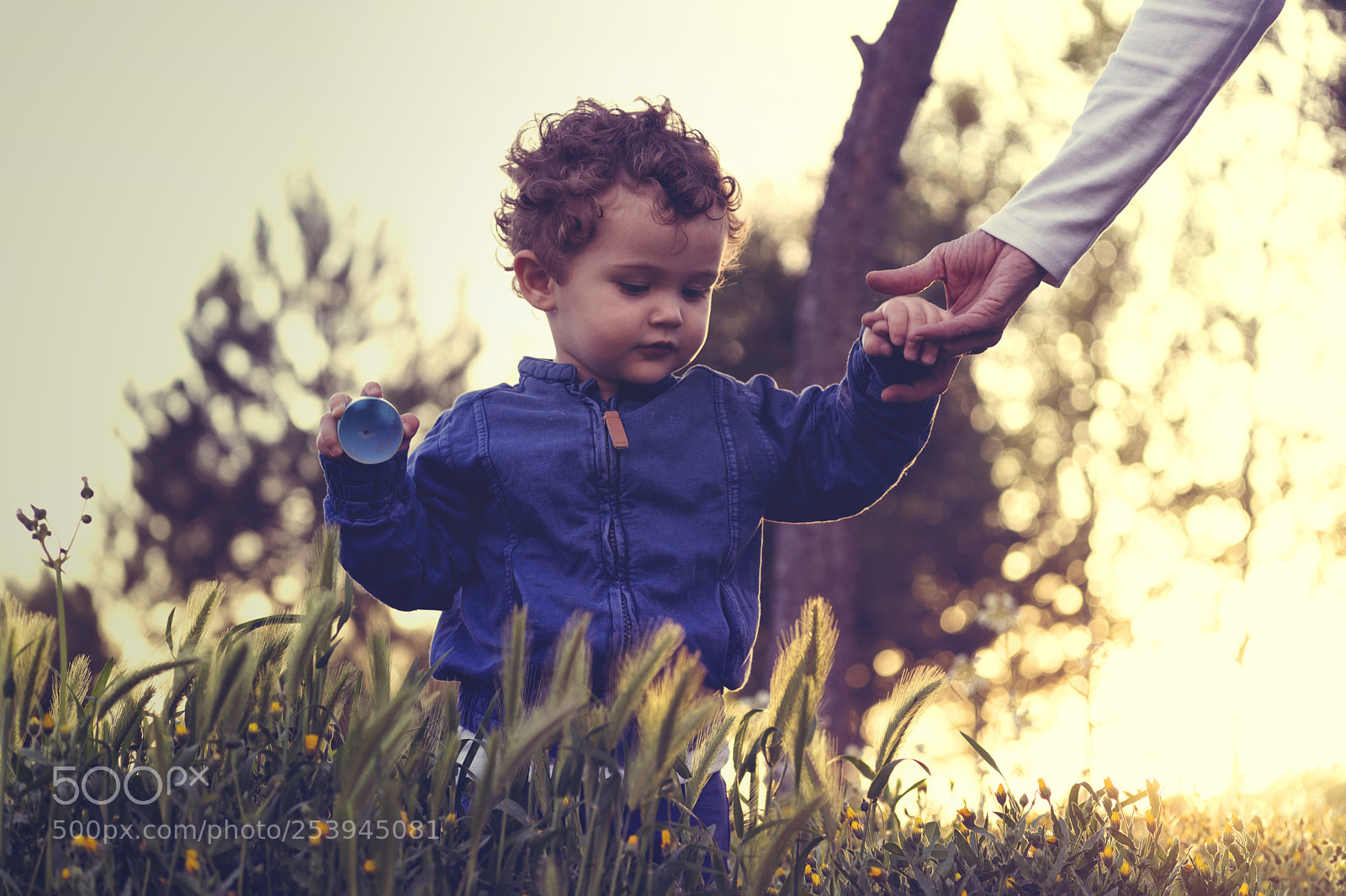Sony a6000 sample photo. Son photography