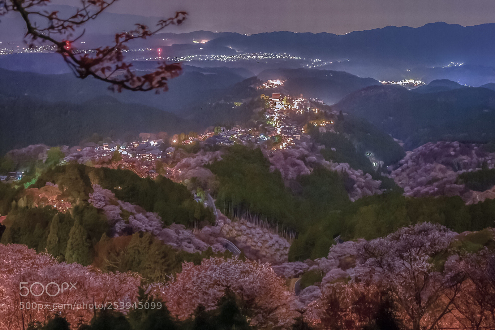 Nikon D7200 sample photo. Cherry blossoms of world photography