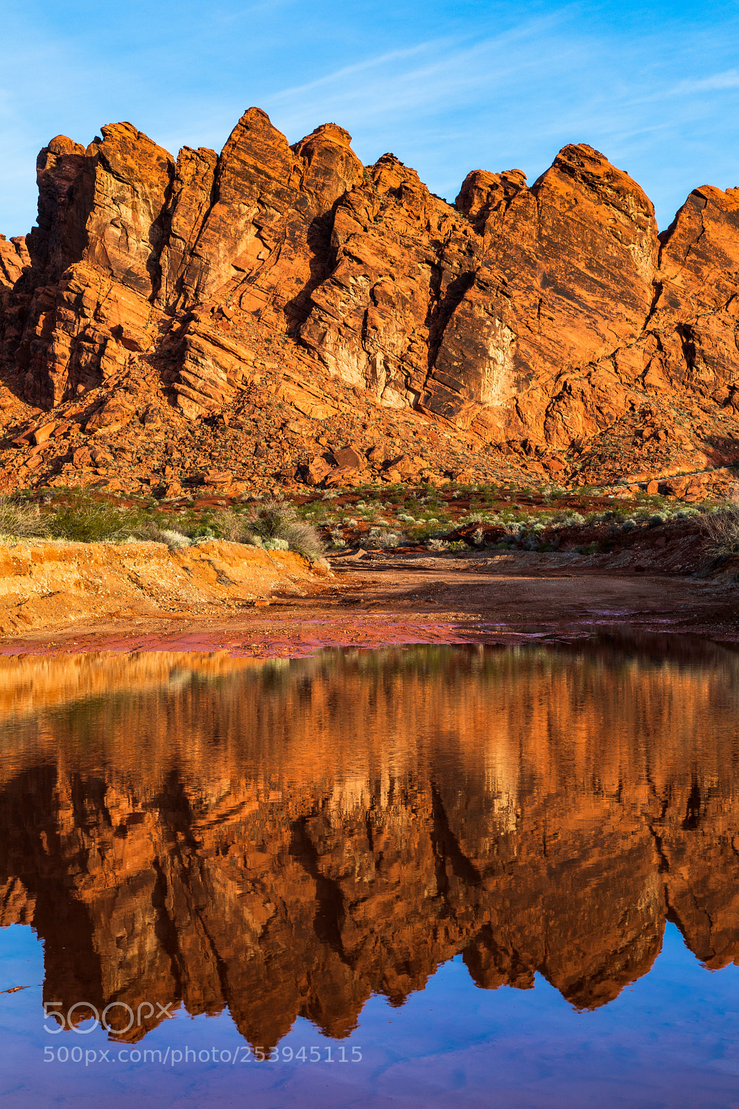 Canon EOS 5D Mark IV sample photo. Morning reflection photography