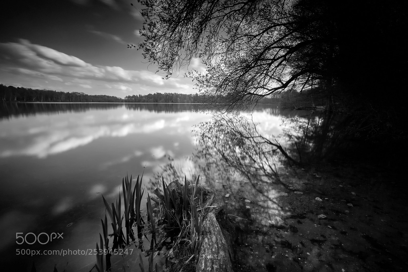 Fujifilm X-T2 sample photo. Böllertsee 2 photography