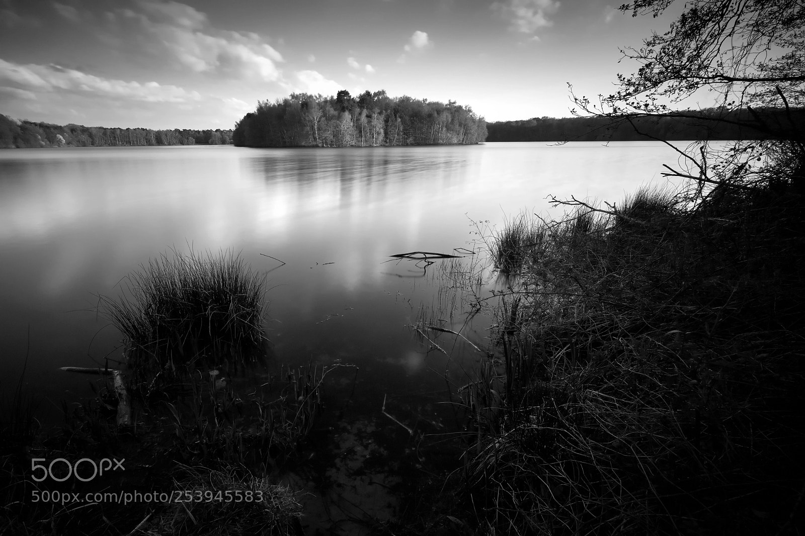 Fujifilm X-T2 sample photo. Wolfsee photography
