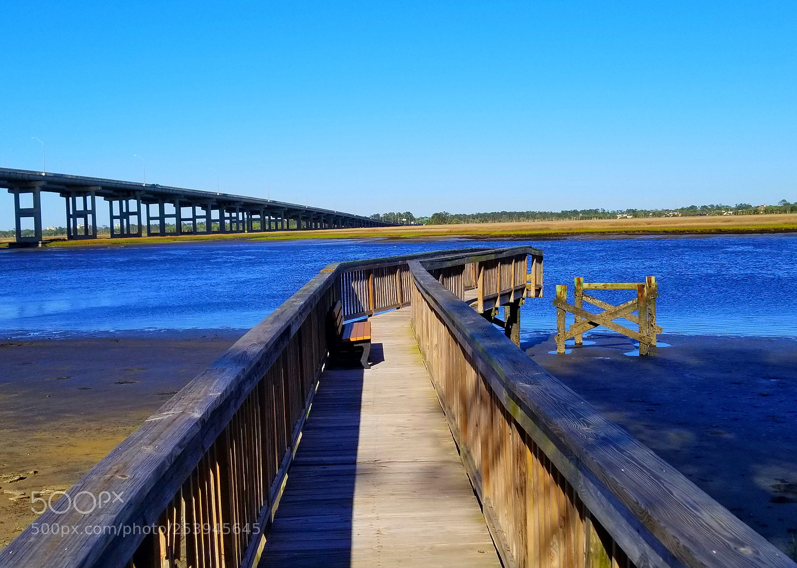 Samsung Galaxy S8+ sample photo. #aphoracoachhomes photography