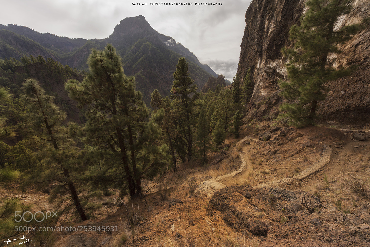 Nikon D810 sample photo. Parque nacional de la photography