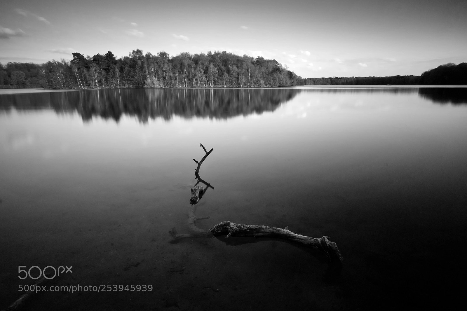 Fujifilm X-T2 sample photo. Wolfsee 2 photography