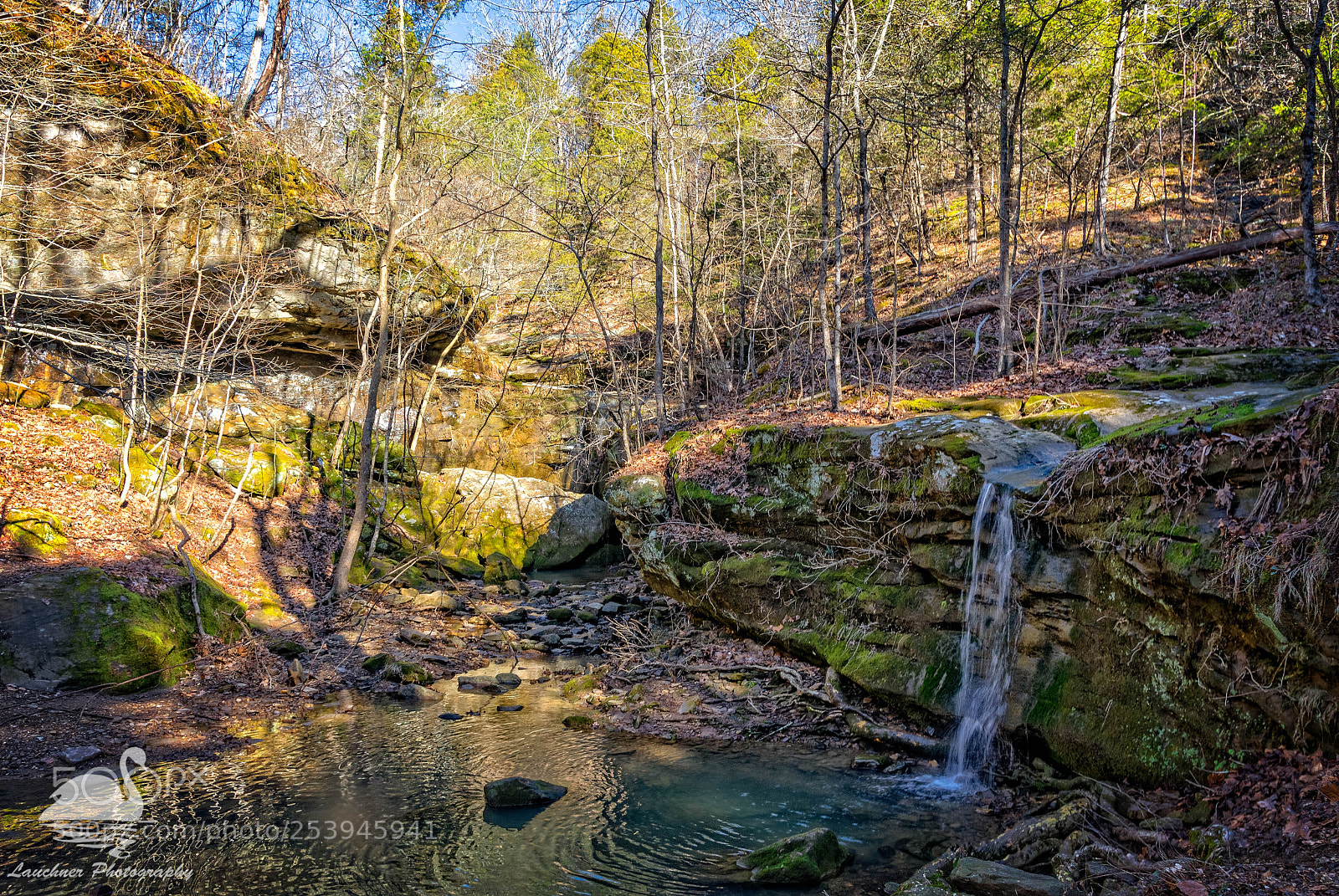 Nikon D5200 sample photo. Rebman trail photography