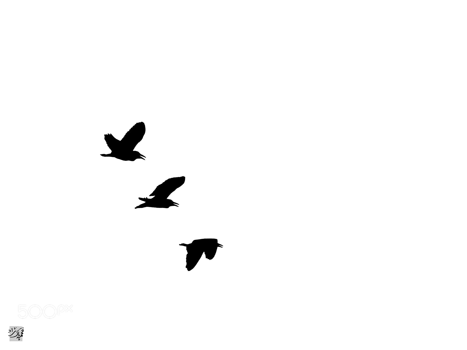Canon PowerShot SX30 IS sample photo. Flying to nowhere photography