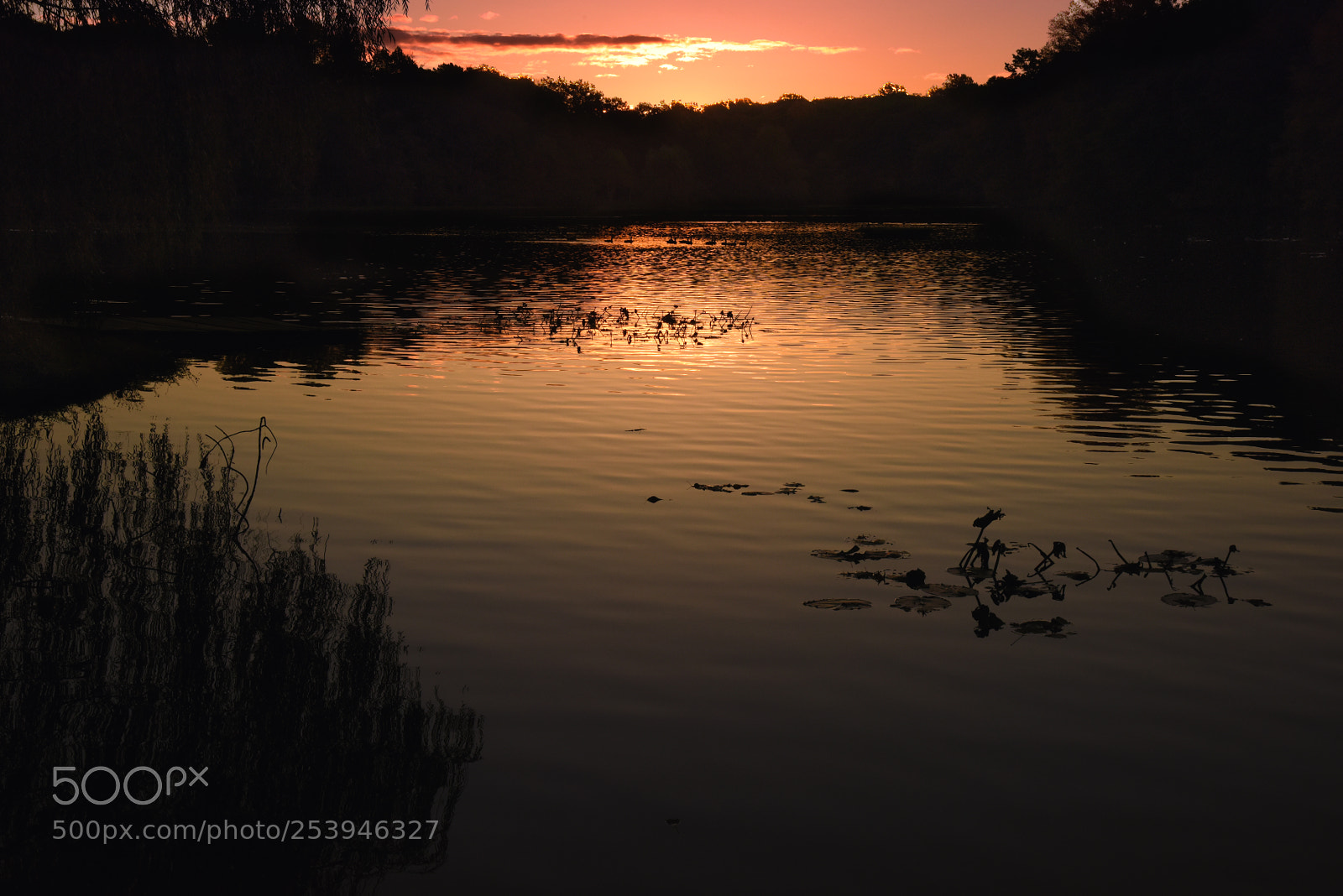 Nikon D810 sample photo. Reflecting photography