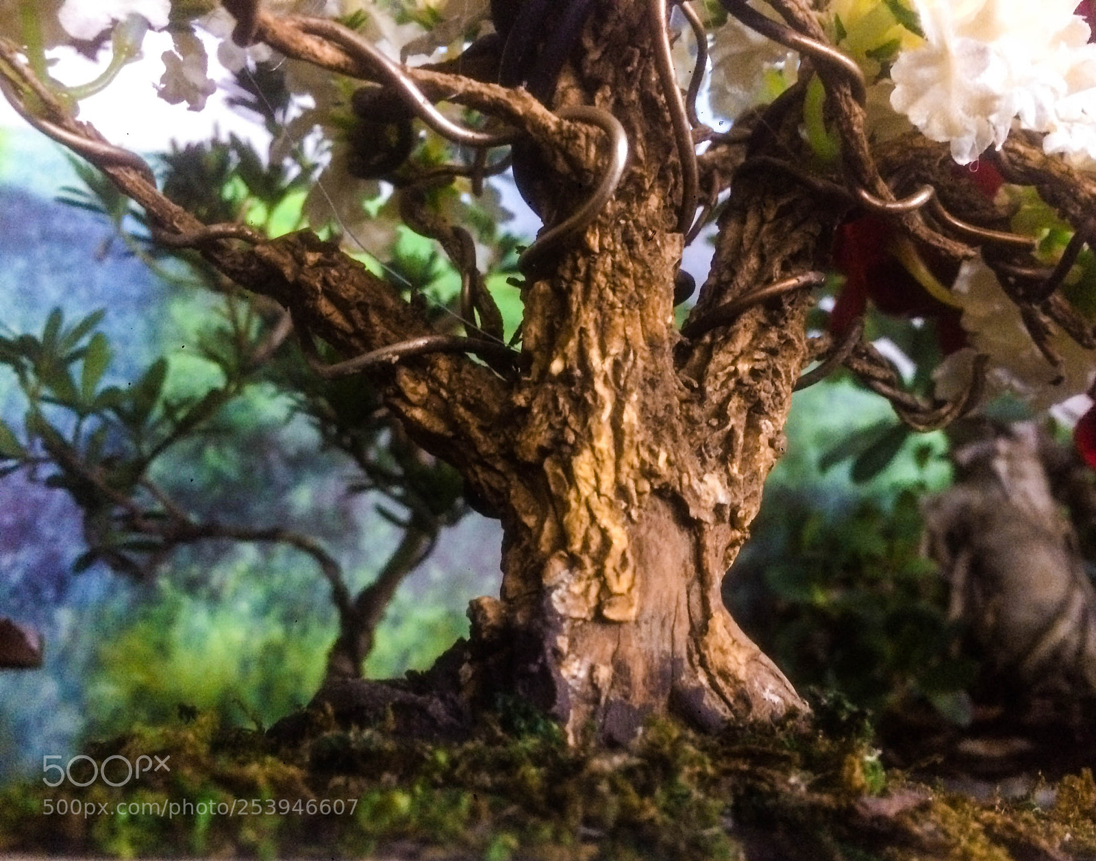 Apple iPhone 5s sample photo. Mini-tree photography