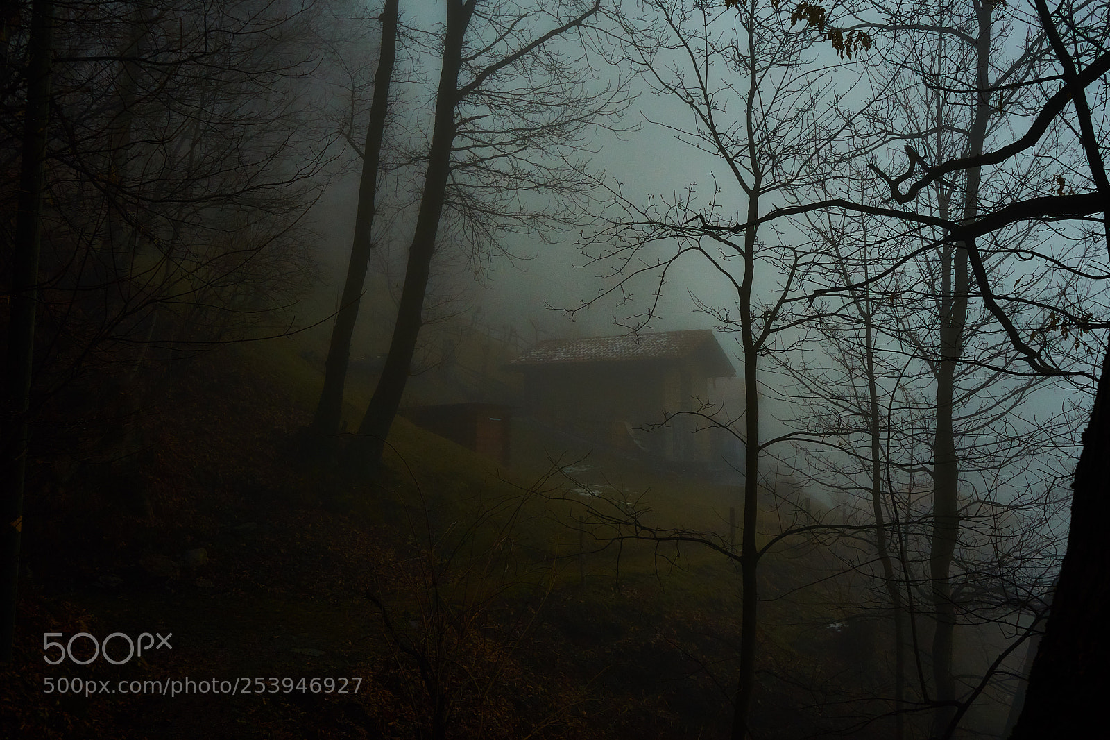 Sony a7 sample photo. Darkness photography