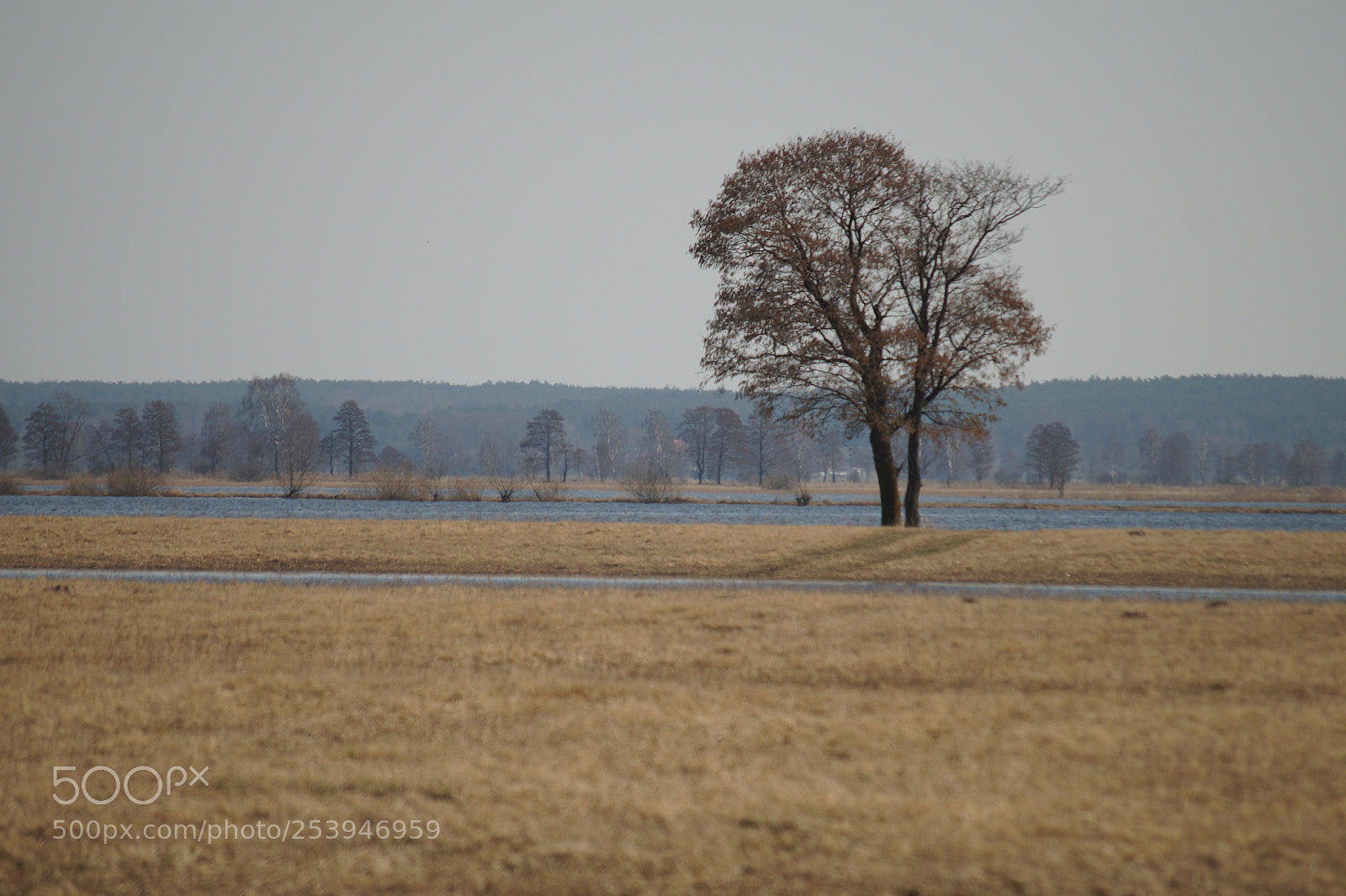 Sony SLT-A58 sample photo. Waiting for dry photography