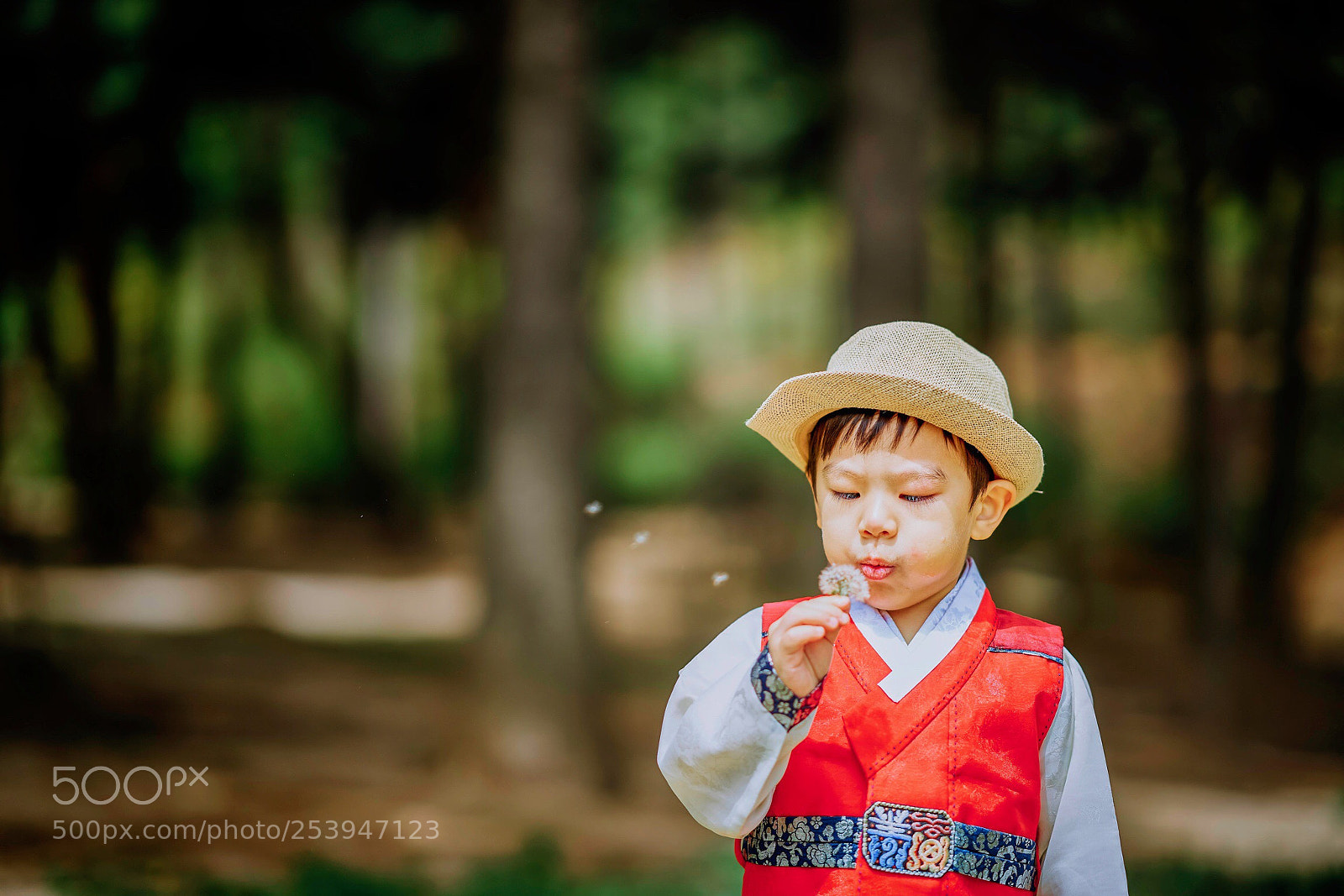 Sony a7R III sample photo. Blowing photography