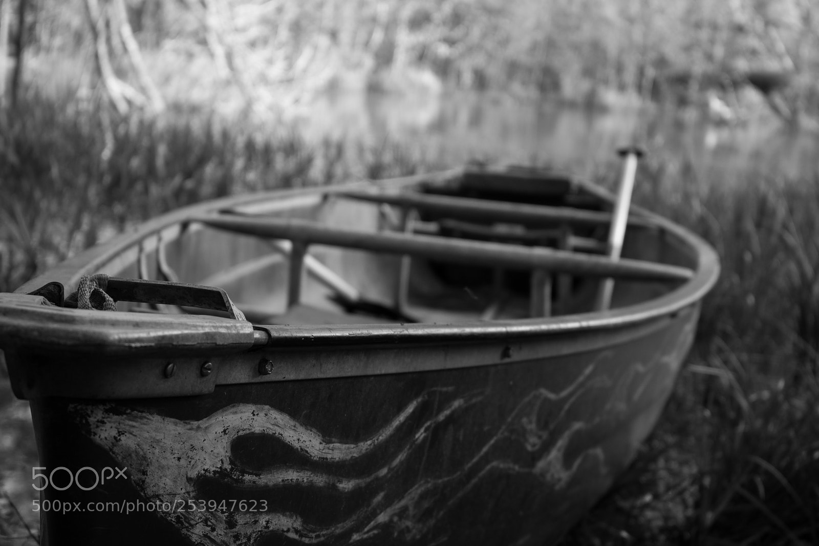 Canon EOS 750D (EOS Rebel T6i / EOS Kiss X8i) sample photo. Lakeside loneliness photography
