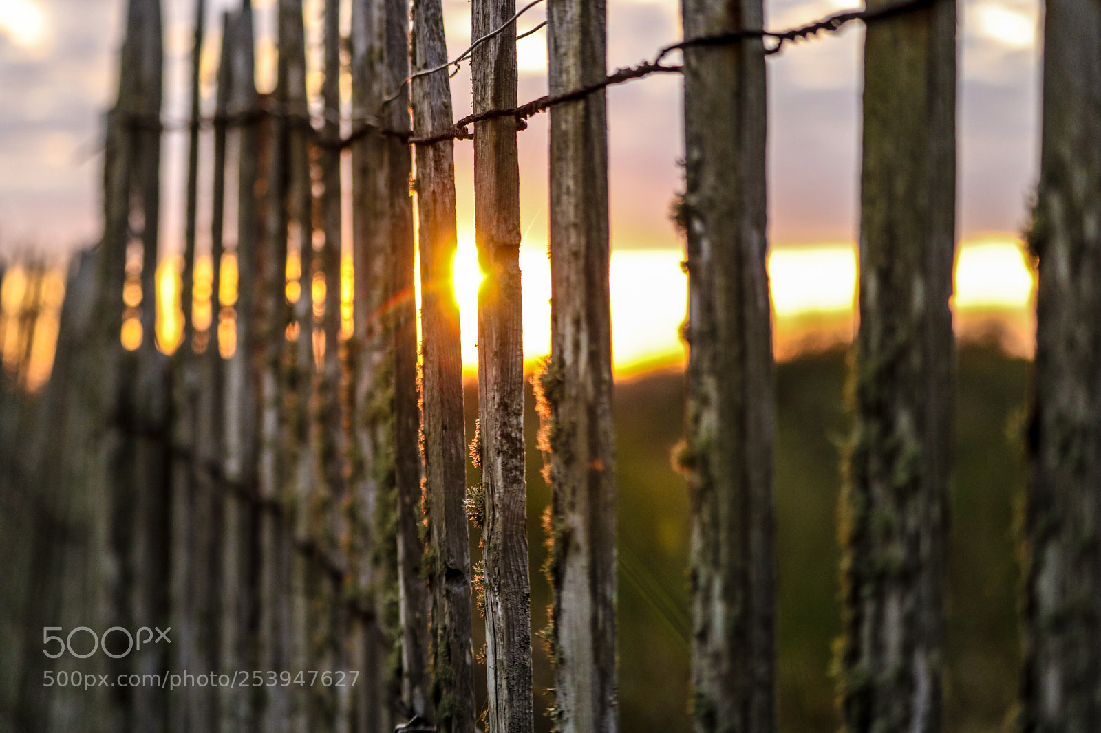 Canon EOS 750D (EOS Rebel T6i / EOS Kiss X8i) sample photo. Peeking sun photography