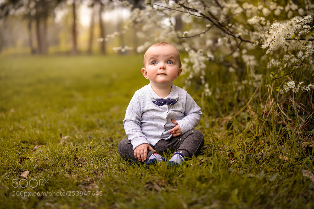 Sony a7 II sample photo. Little boy sitting on photography