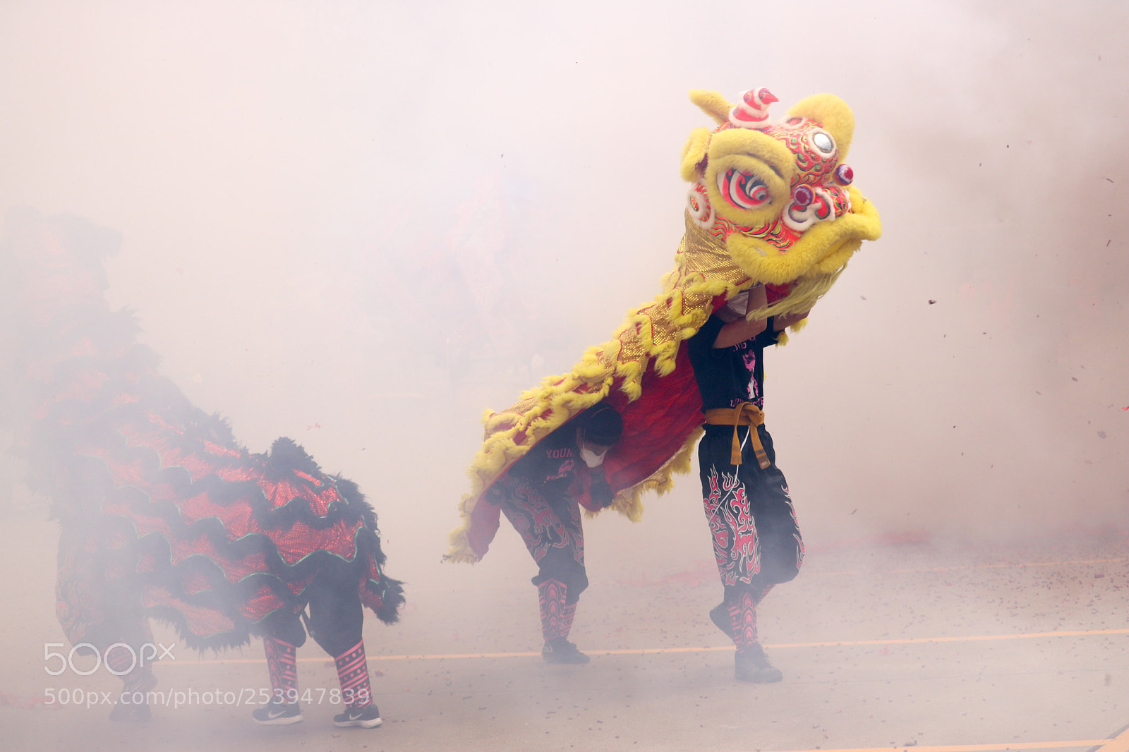 Canon EOS 750D (EOS Rebel T6i / EOS Kiss X8i) sample photo. Lions in the mist photography