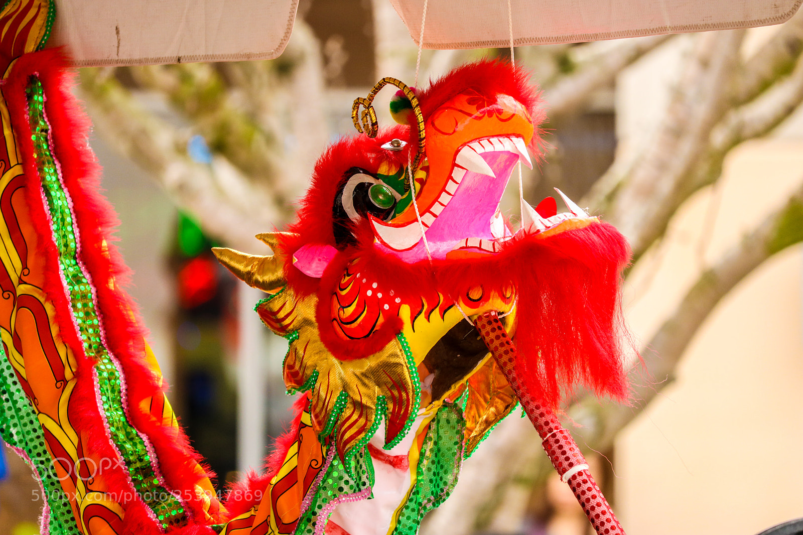 Canon EOS 750D (EOS Rebel T6i / EOS Kiss X8i) sample photo. Red dragon photography