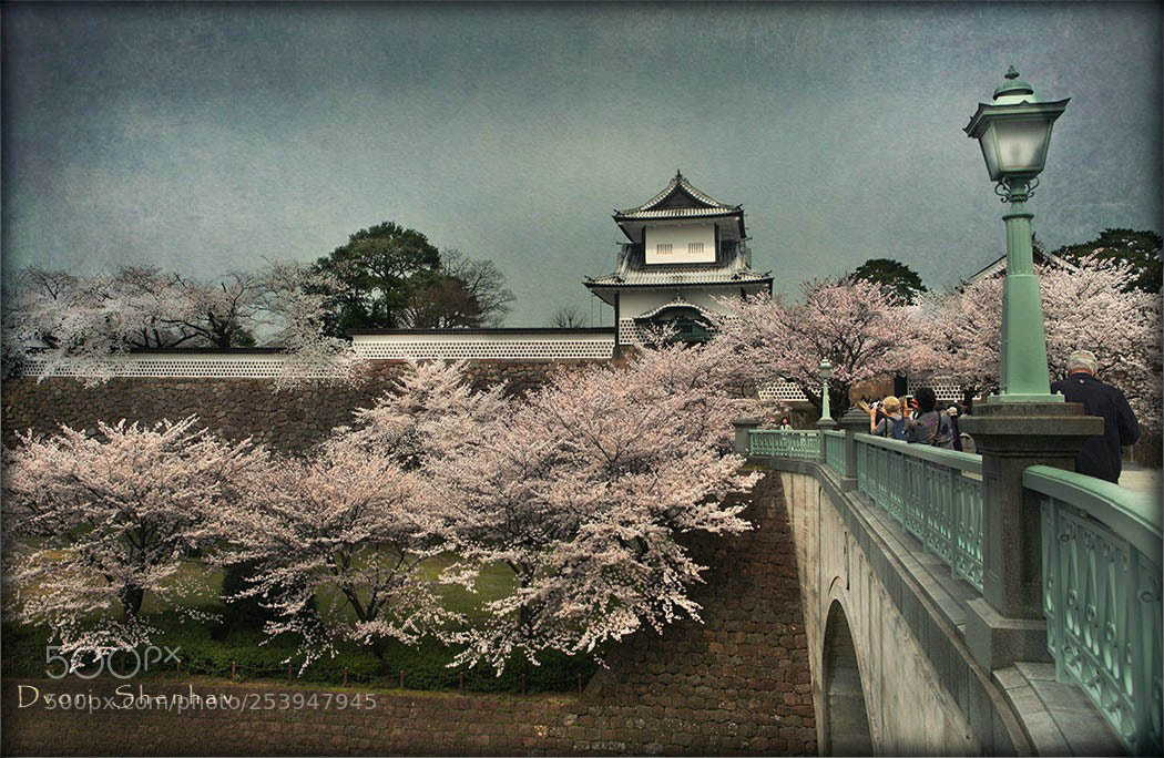 Canon EOS 5D Mark II sample photo. Kanazawa castle photography