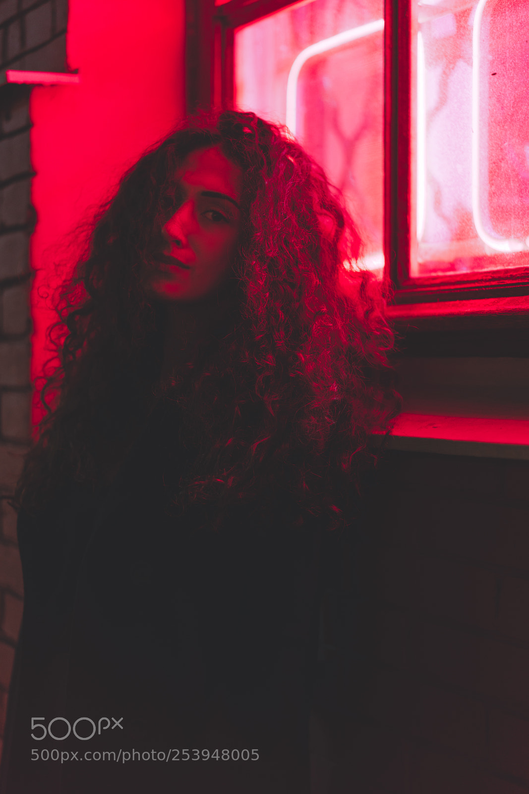 Sony a7R III sample photo. Di photography