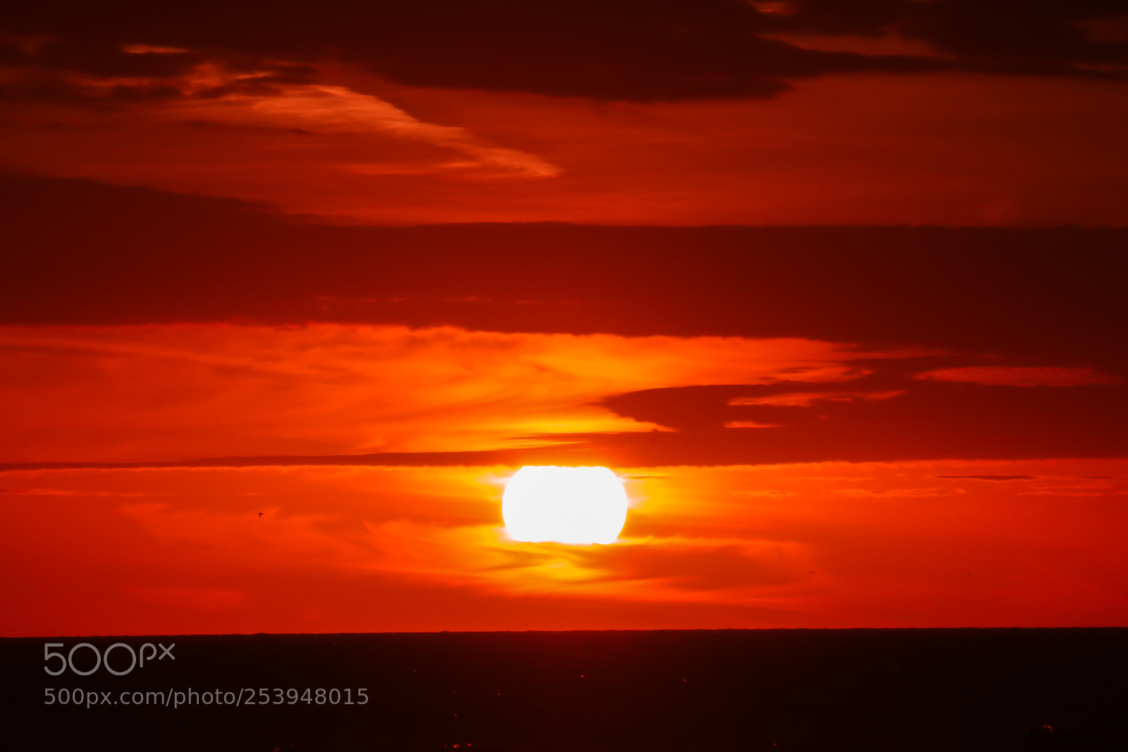 Canon EOS 750D (EOS Rebel T6i / EOS Kiss X8i) sample photo. Orange skies photography