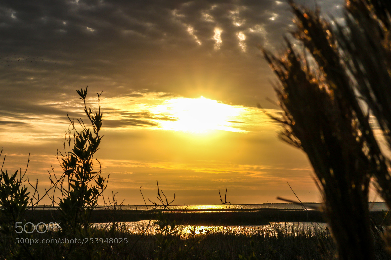 Canon EOS 750D (EOS Rebel T6i / EOS Kiss X8i) sample photo. Golden sunset photography