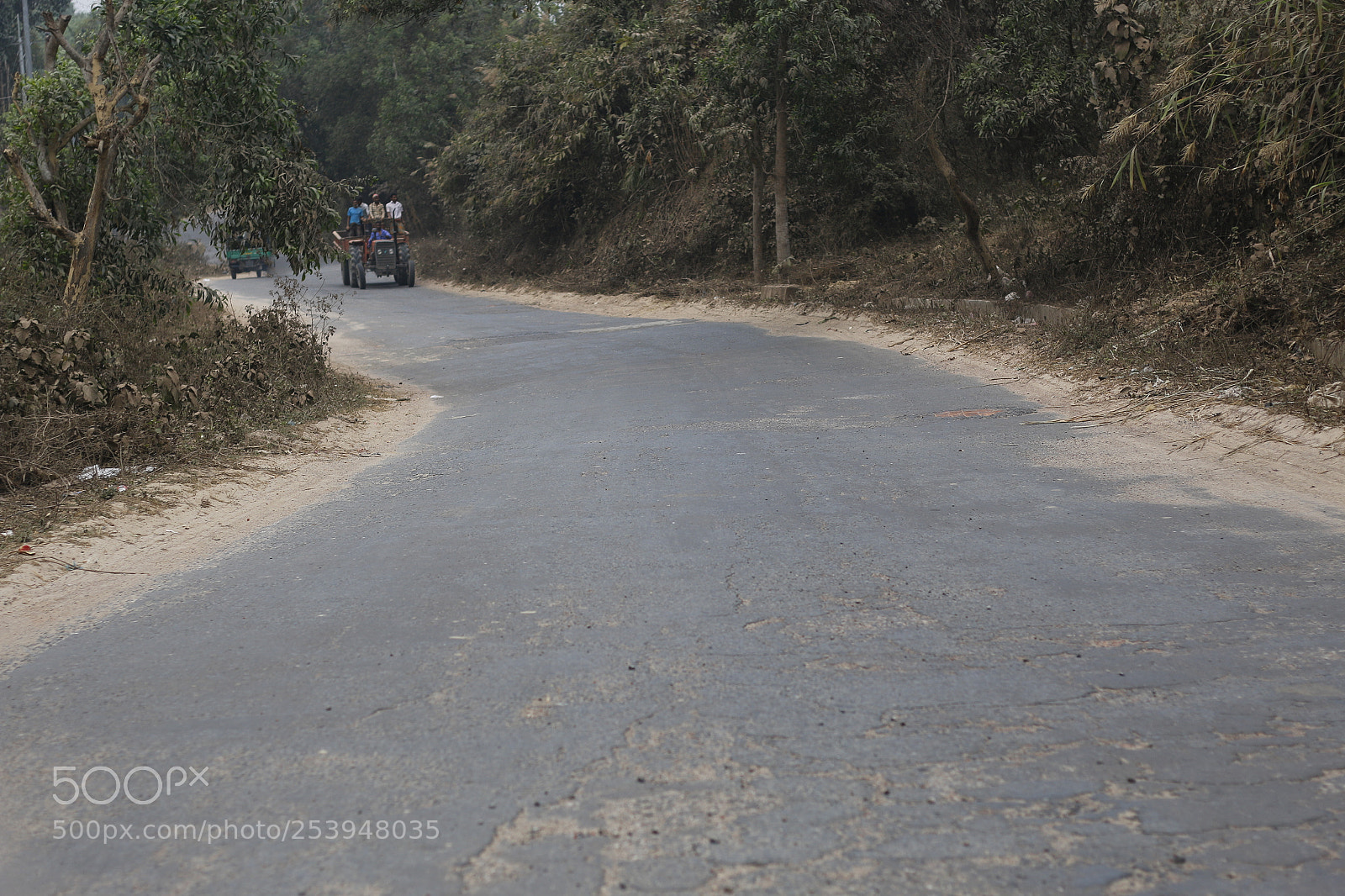 Canon EOS 70D + Canon EF 50mm F1.8 STM sample photo. Abhishek photography