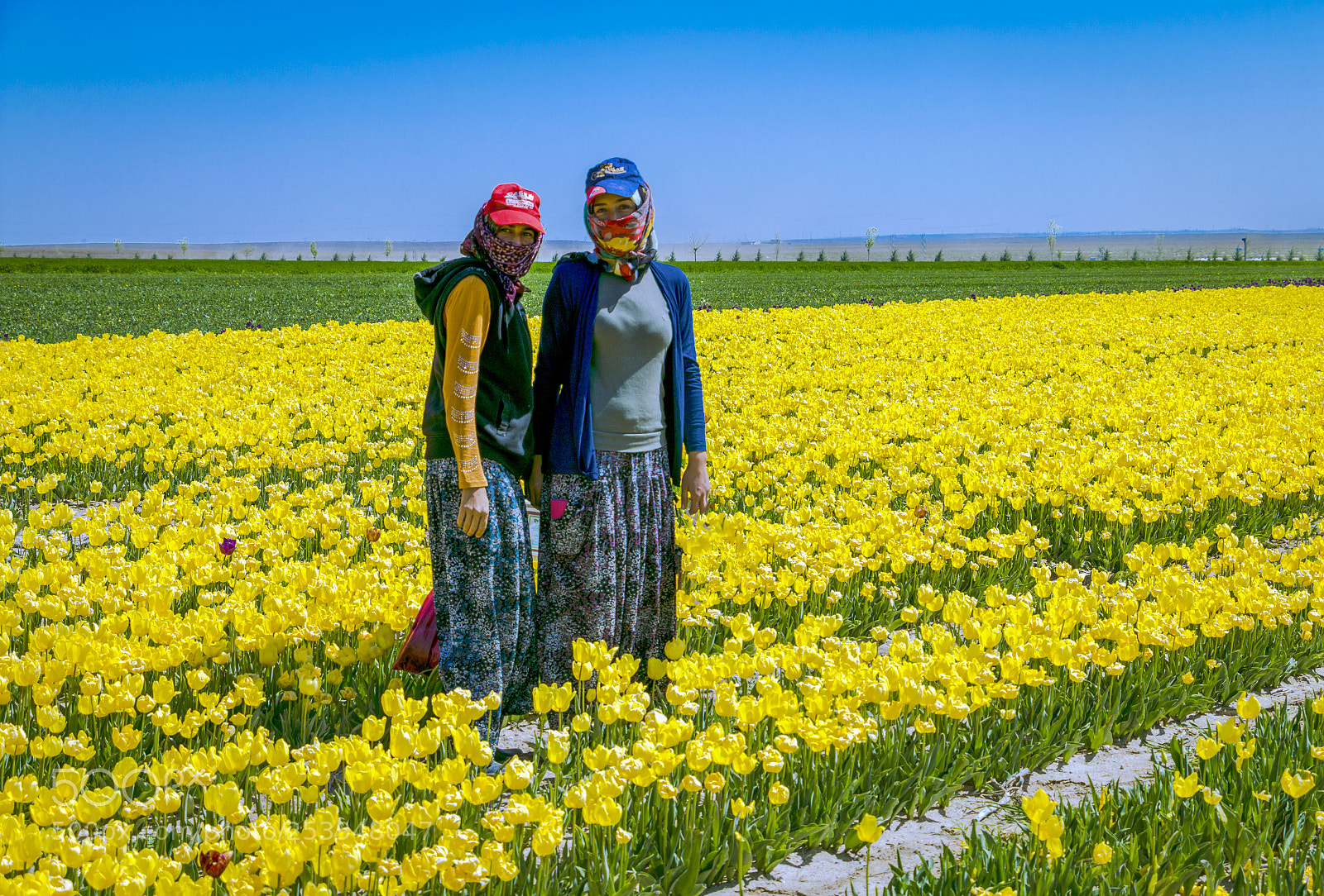 Canon EOS 70D sample photo. The girls working in photography