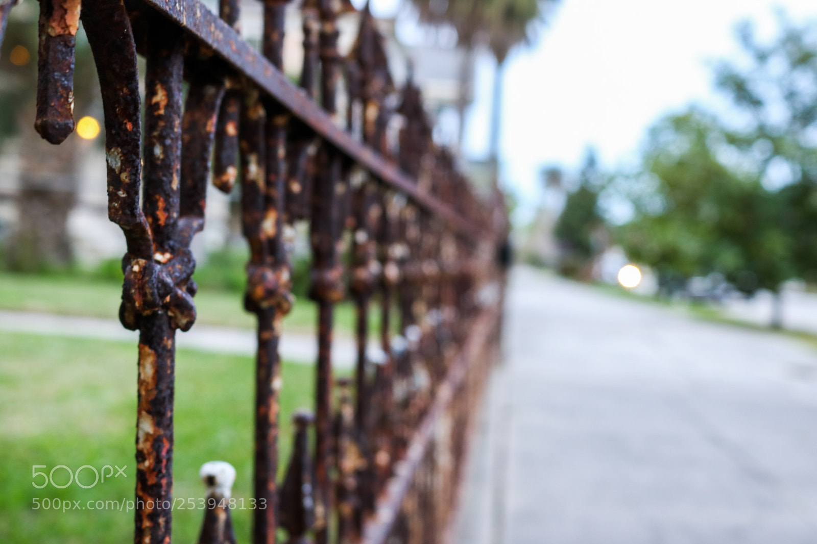 Canon EOS 750D (EOS Rebel T6i / EOS Kiss X8i) sample photo. Forever rusted fence photography