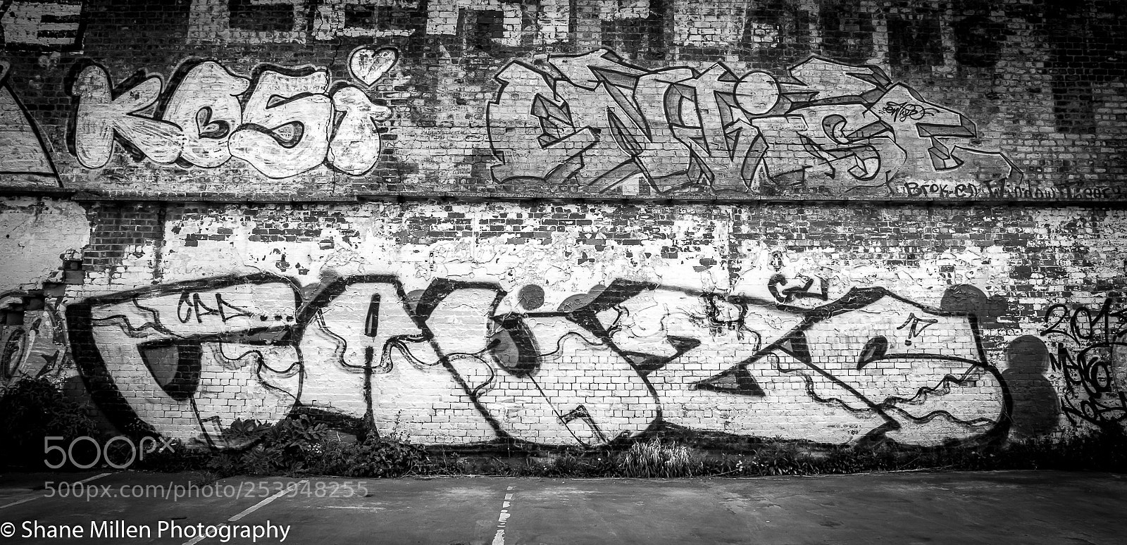Canon EOS 7D sample photo. Untitled photography