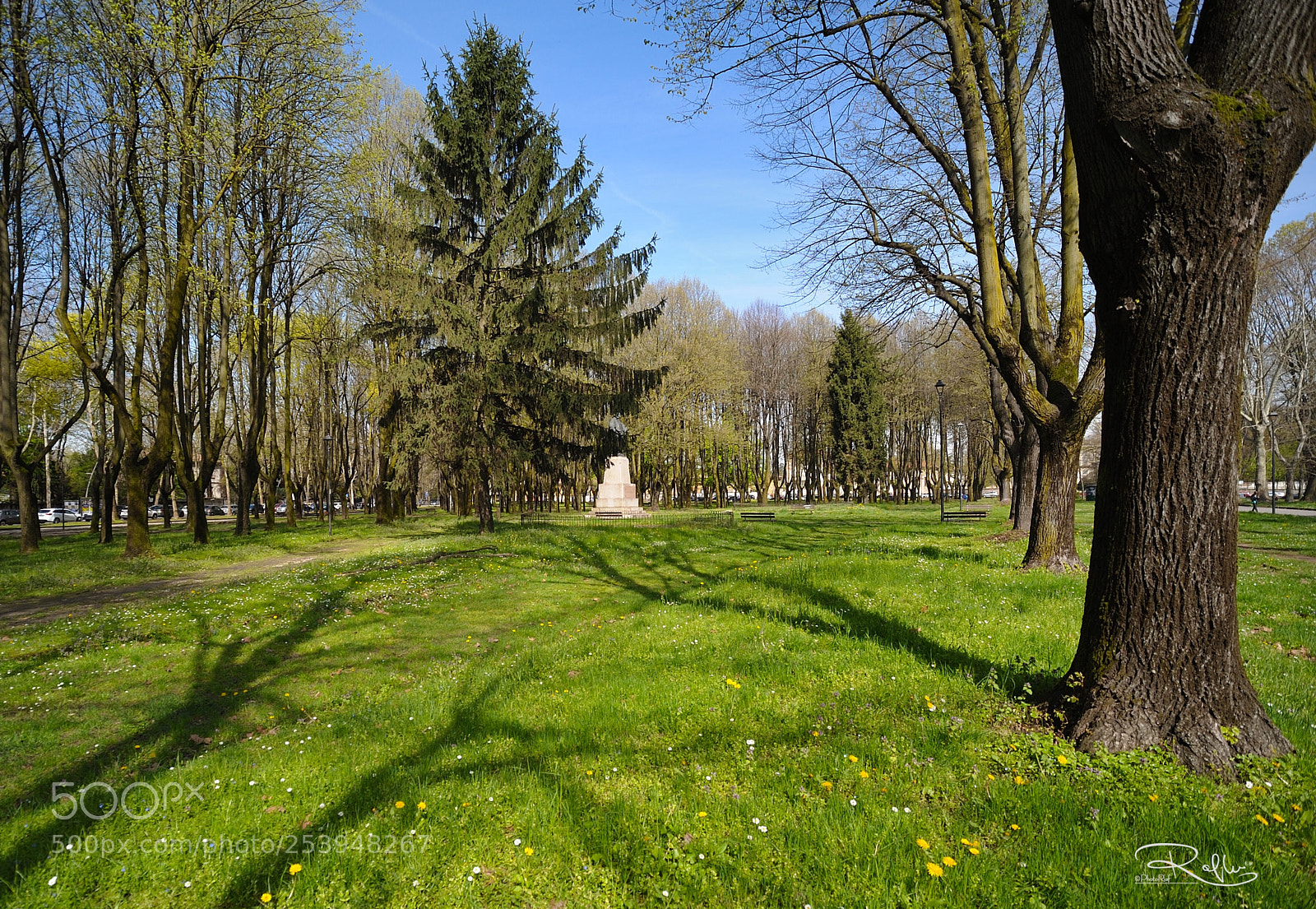 Nikon D3 sample photo. Monza park photography