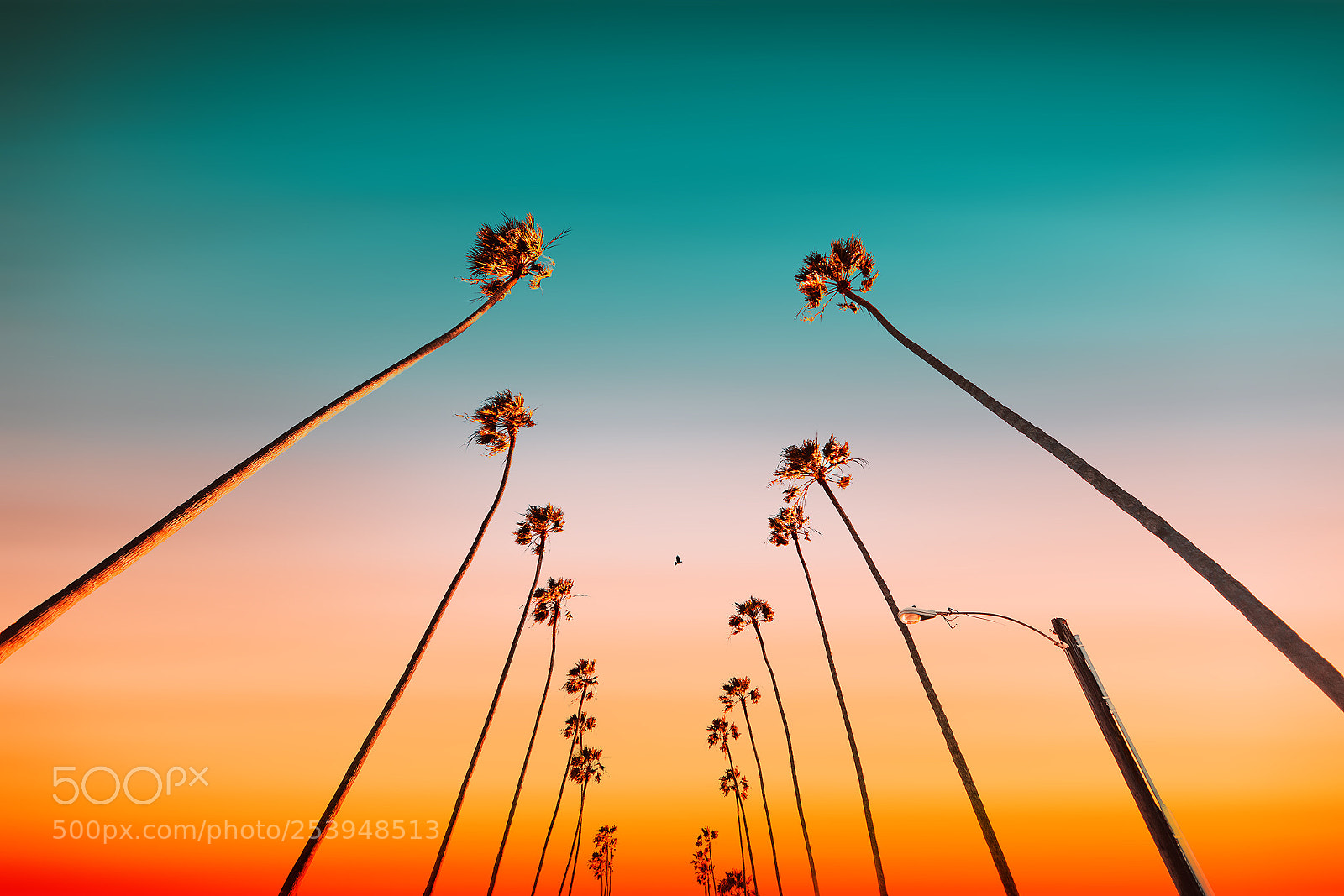 Canon EOS 5D Mark IV sample photo. The new endless summer photography