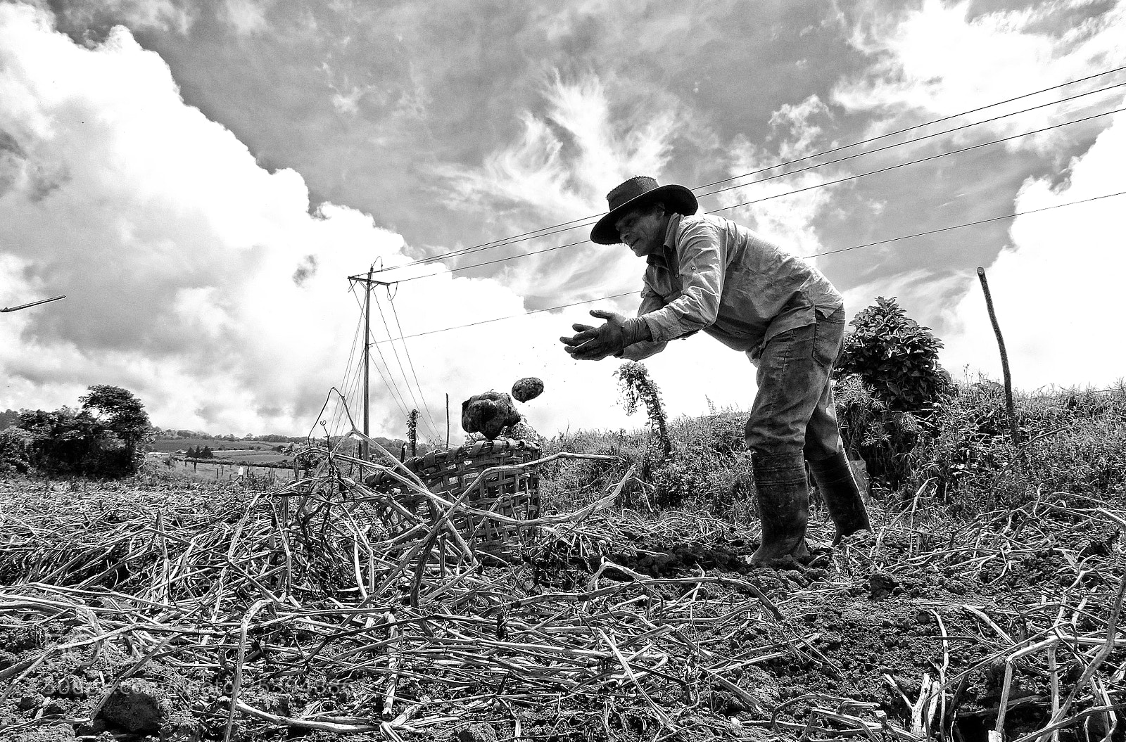 Nikon Coolpix P600 sample photo. Trabajador de la tierra photography