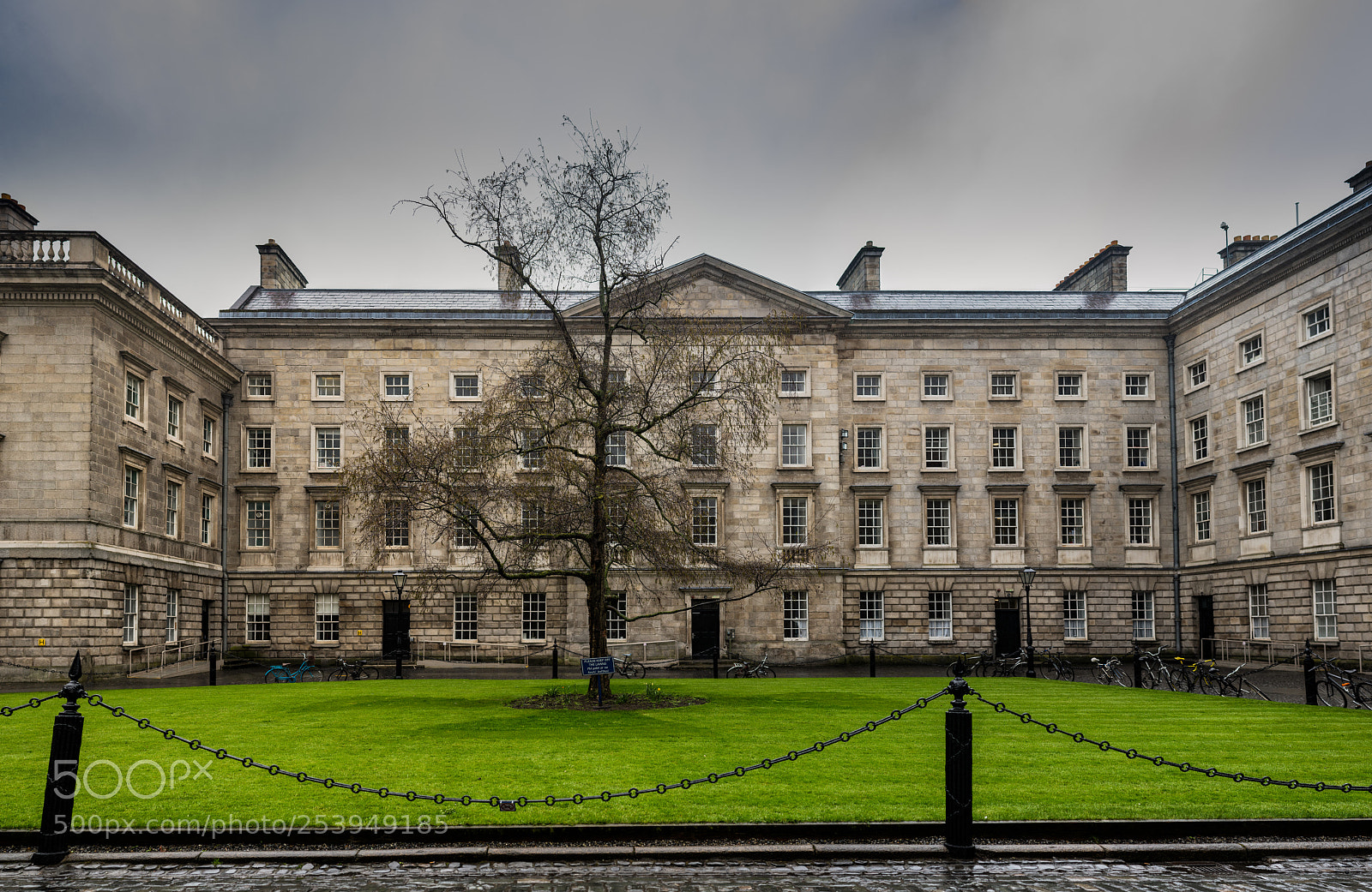 Nikon D610 sample photo. Parliament square photography