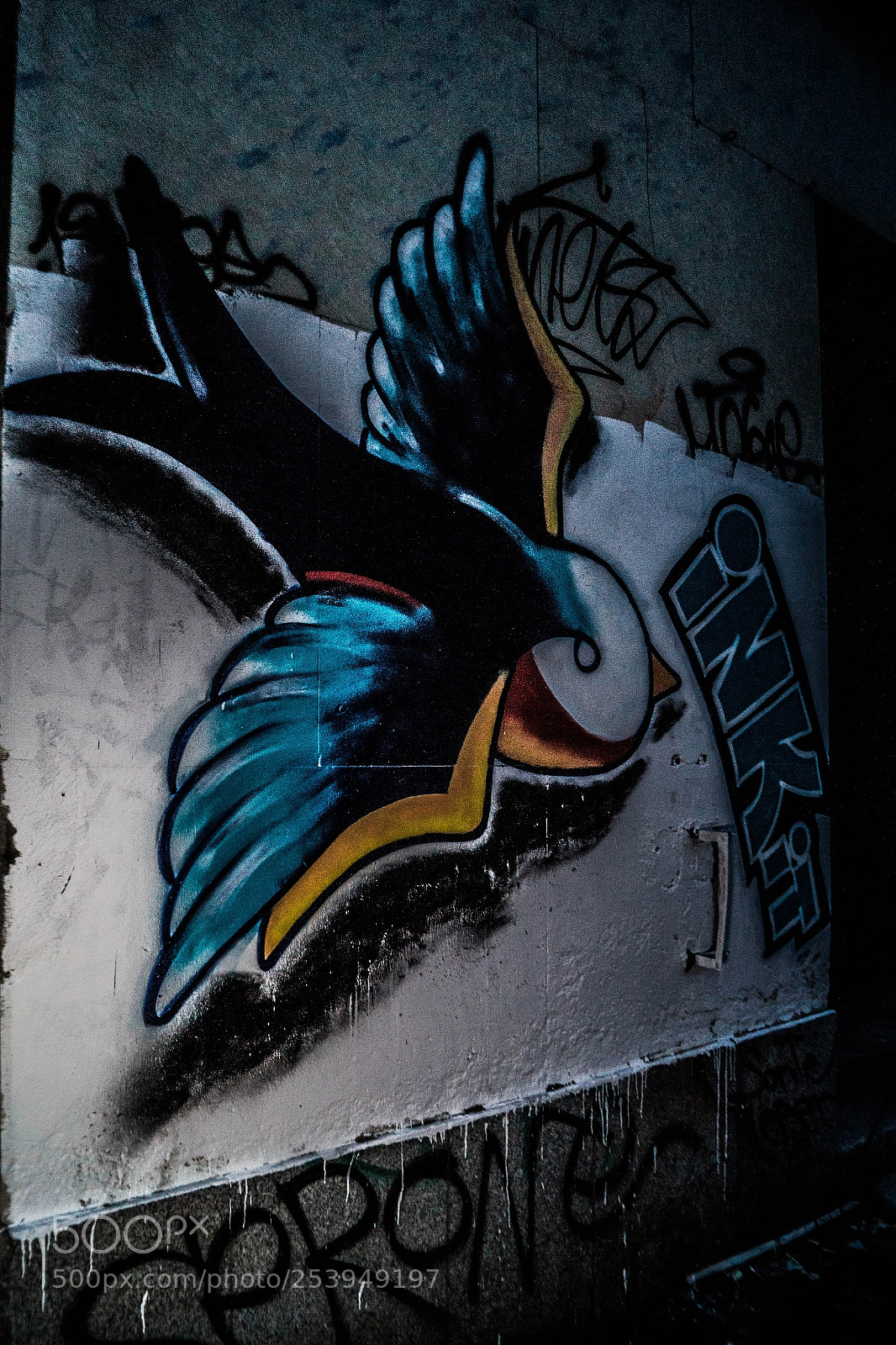 Sony SLT-A58 sample photo. Graffiti bird photography