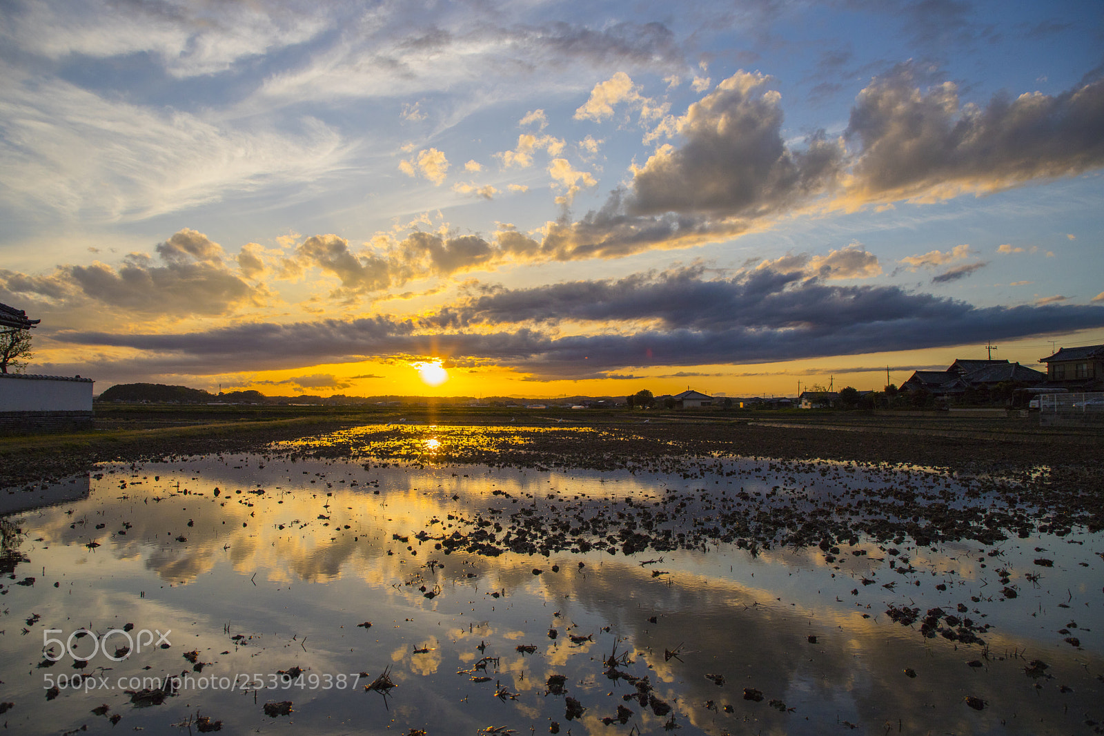 Canon EOS 6D Mark II sample photo. Sunset over spring rice photography