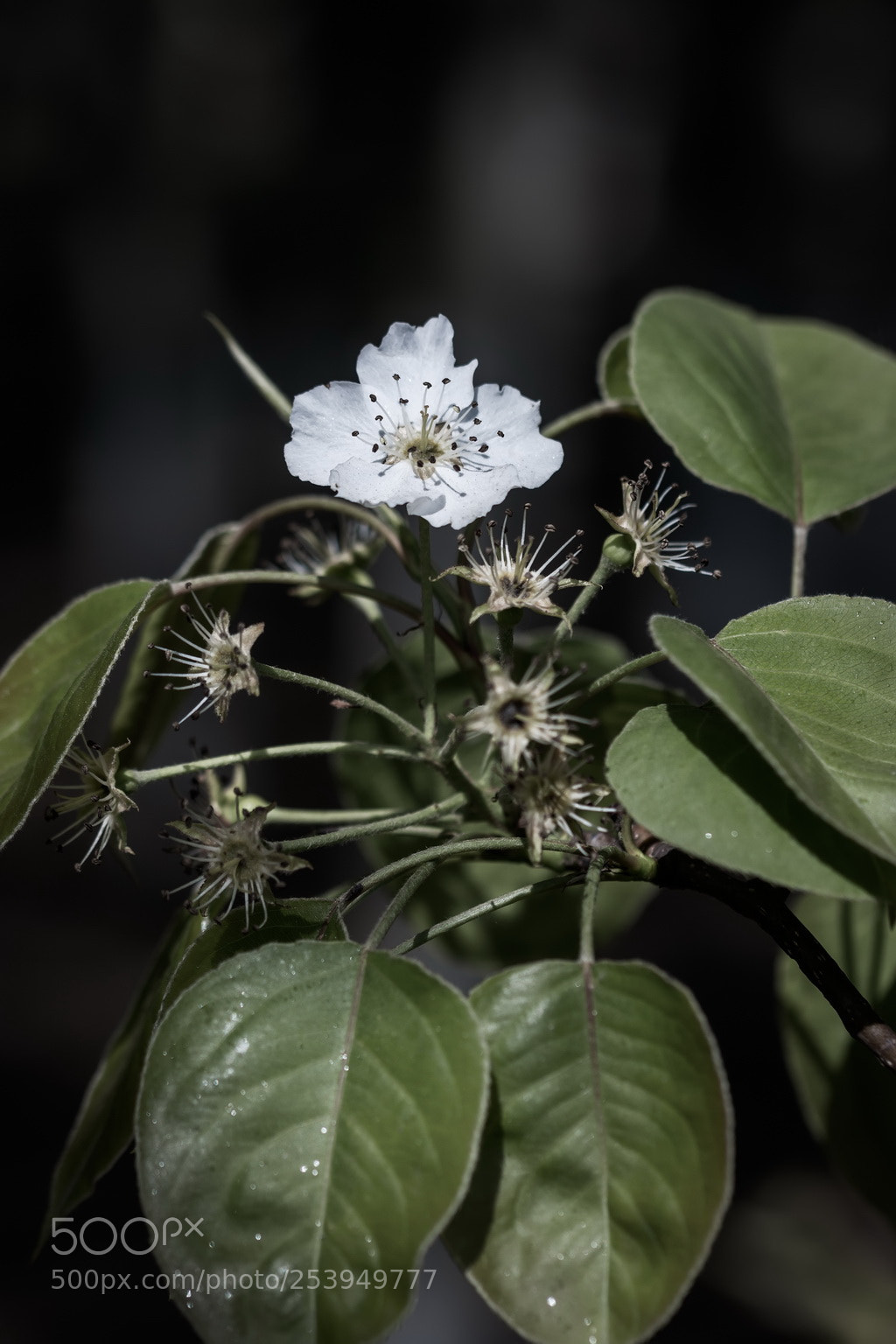 Canon EOS 70D sample photo. Light and shadow photography