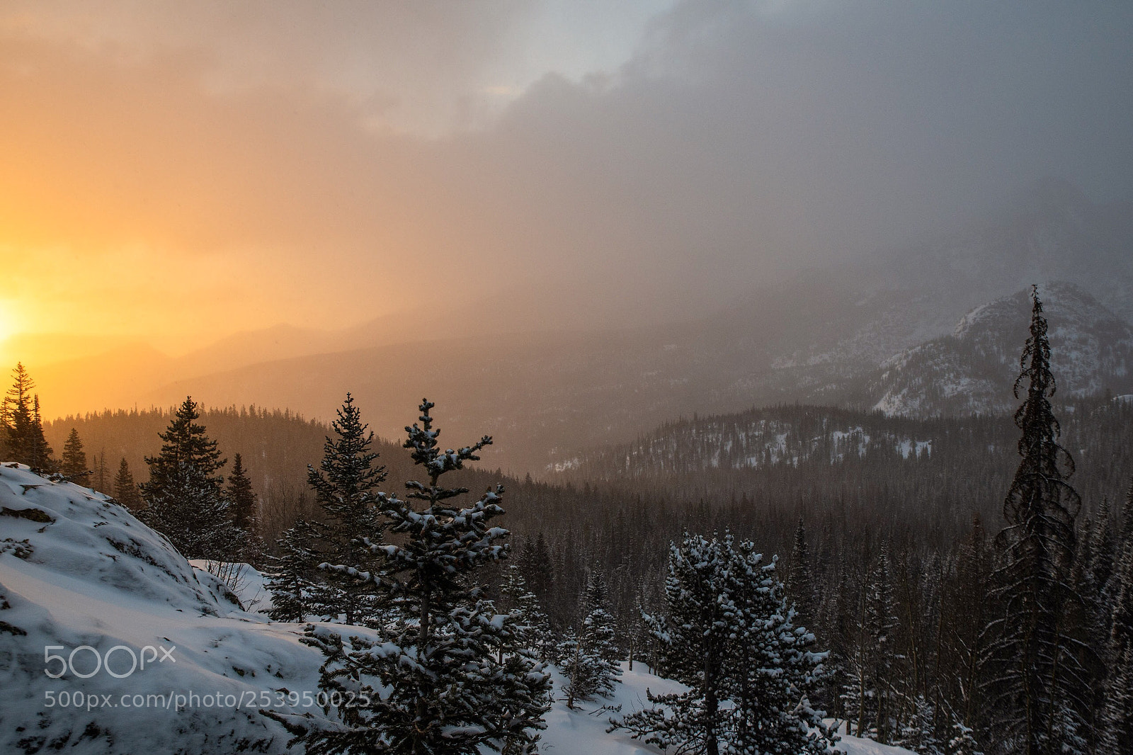 Nikon D850 sample photo. Snowy sunrise photography