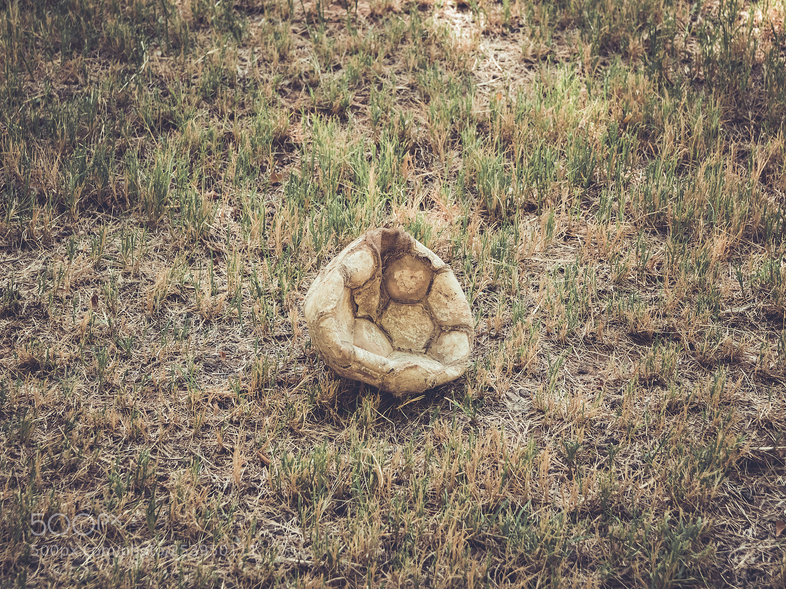 Nikon D500 sample photo. Brokenballvintage photography
