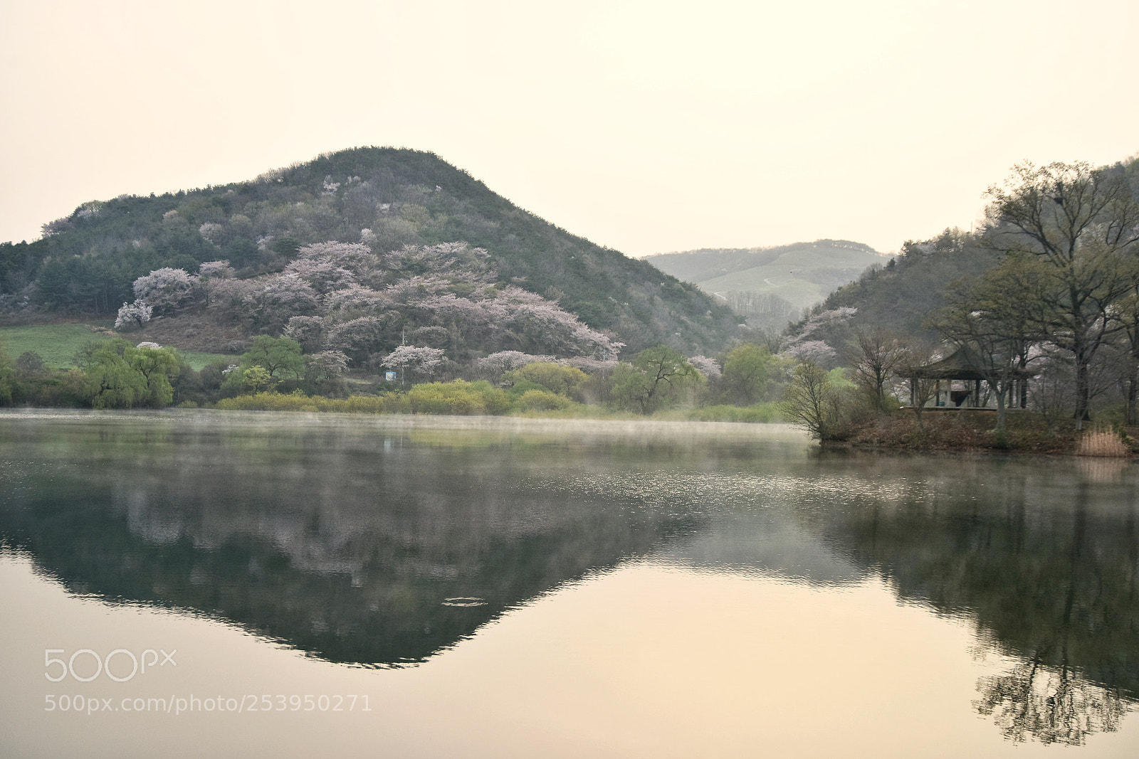 Nikon D810 sample photo. Untitled photography