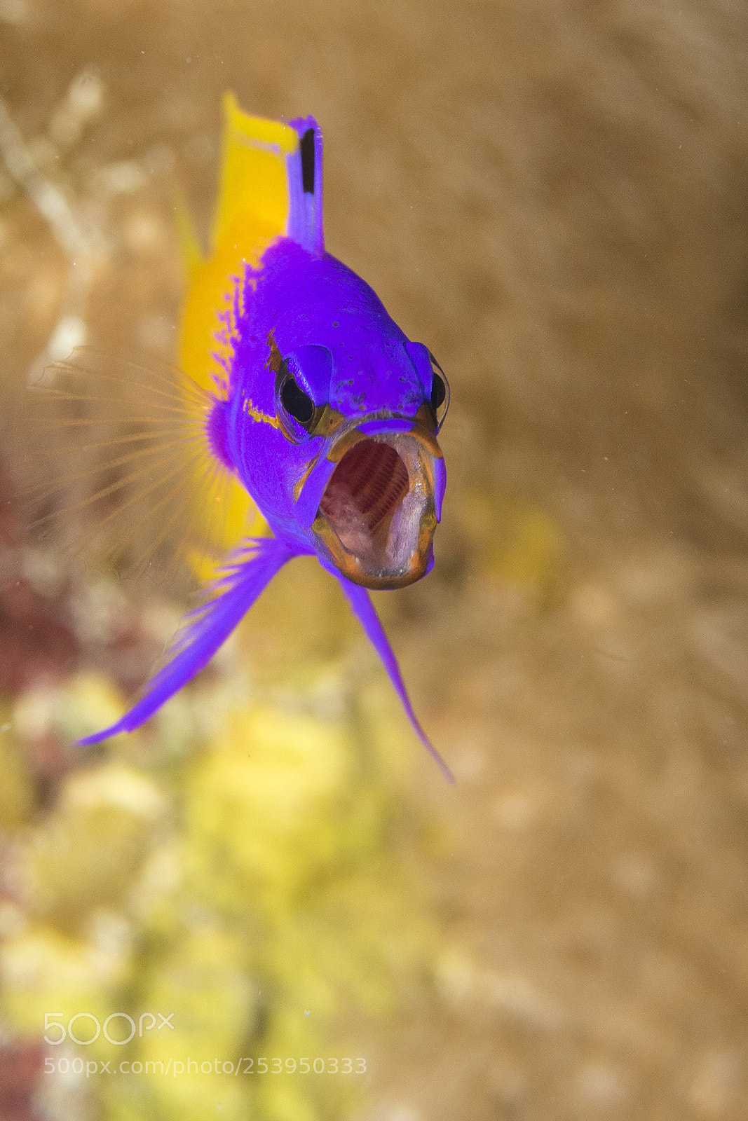 Canon EOS 7D Mark II sample photo. Img photography
