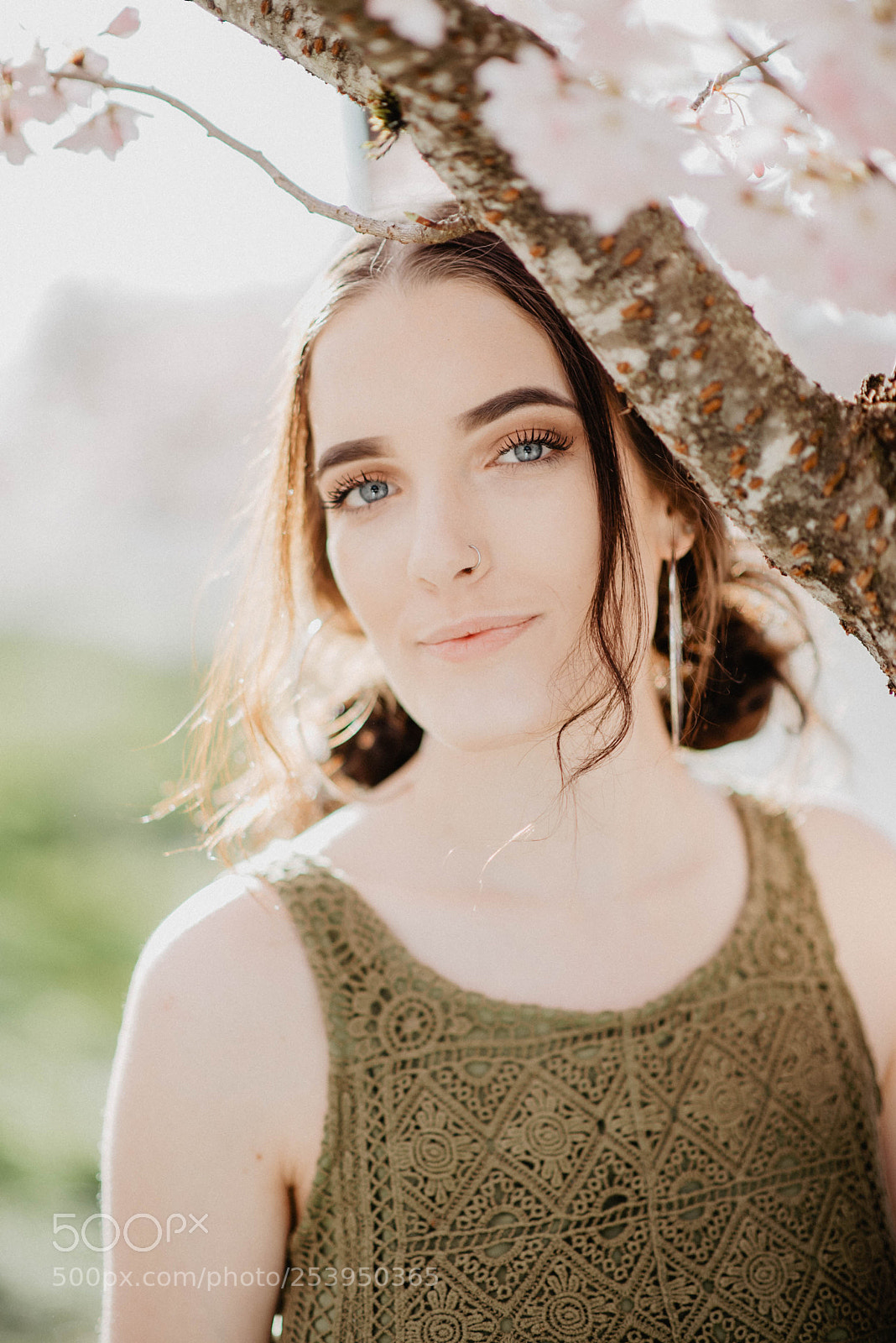 Nikon D810 sample photo. Wildflower photography