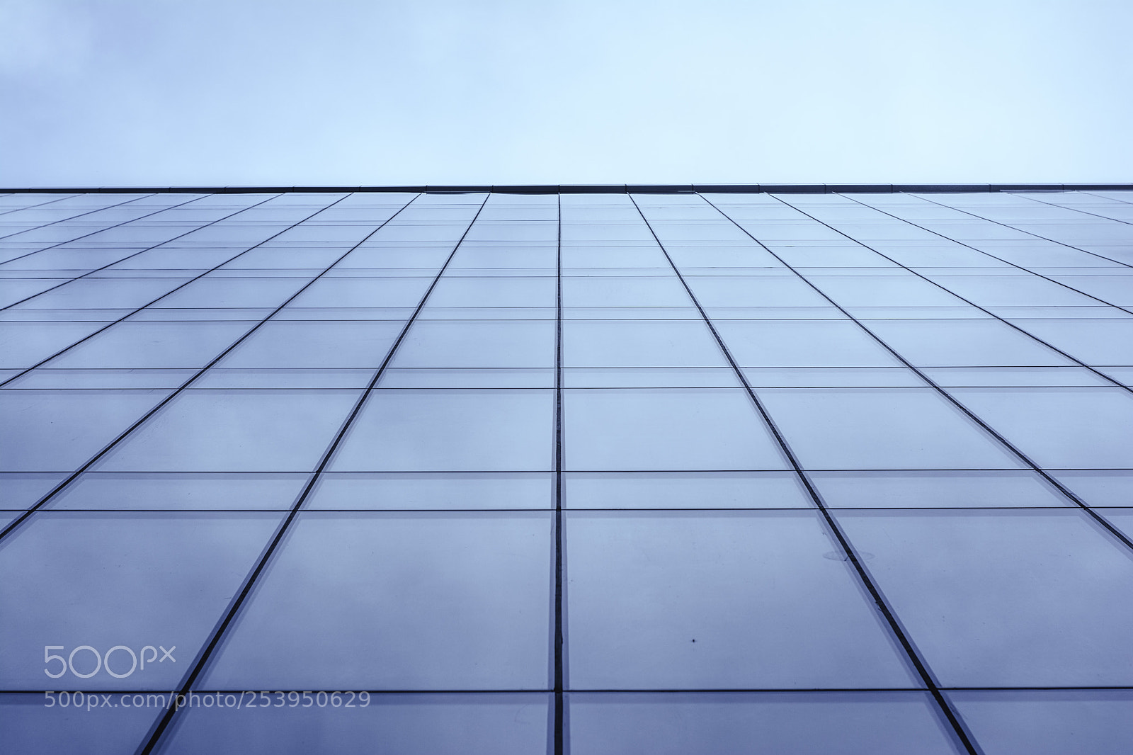 Nikon D7100 sample photo. Untitled photography